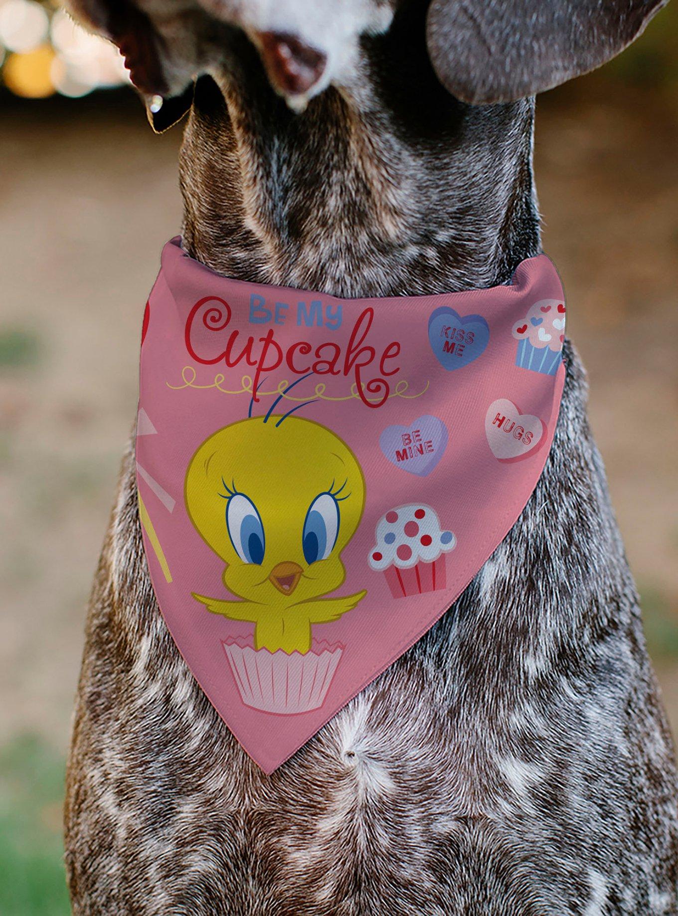 Looney Tunes Tweety Bird Be My Cupcake Sweets Pose and Title Slip On Collar Pet Bandana - Bandana Only, , alternate