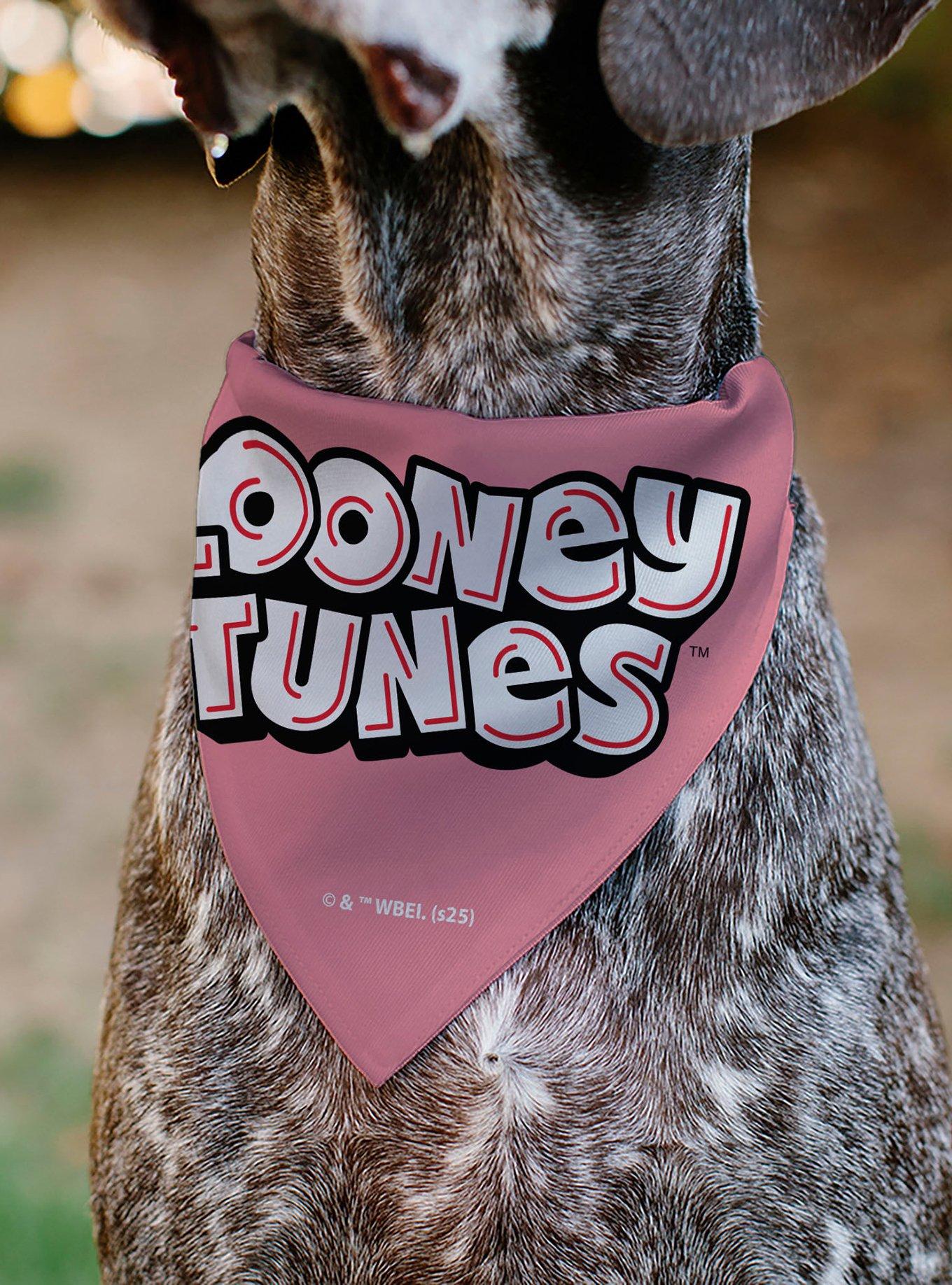 Looney Tunes Tweety Bird Be My Cupcake Sweets Pose and Title Slip On Collar Pet Bandana - Bandana Only, , alternate