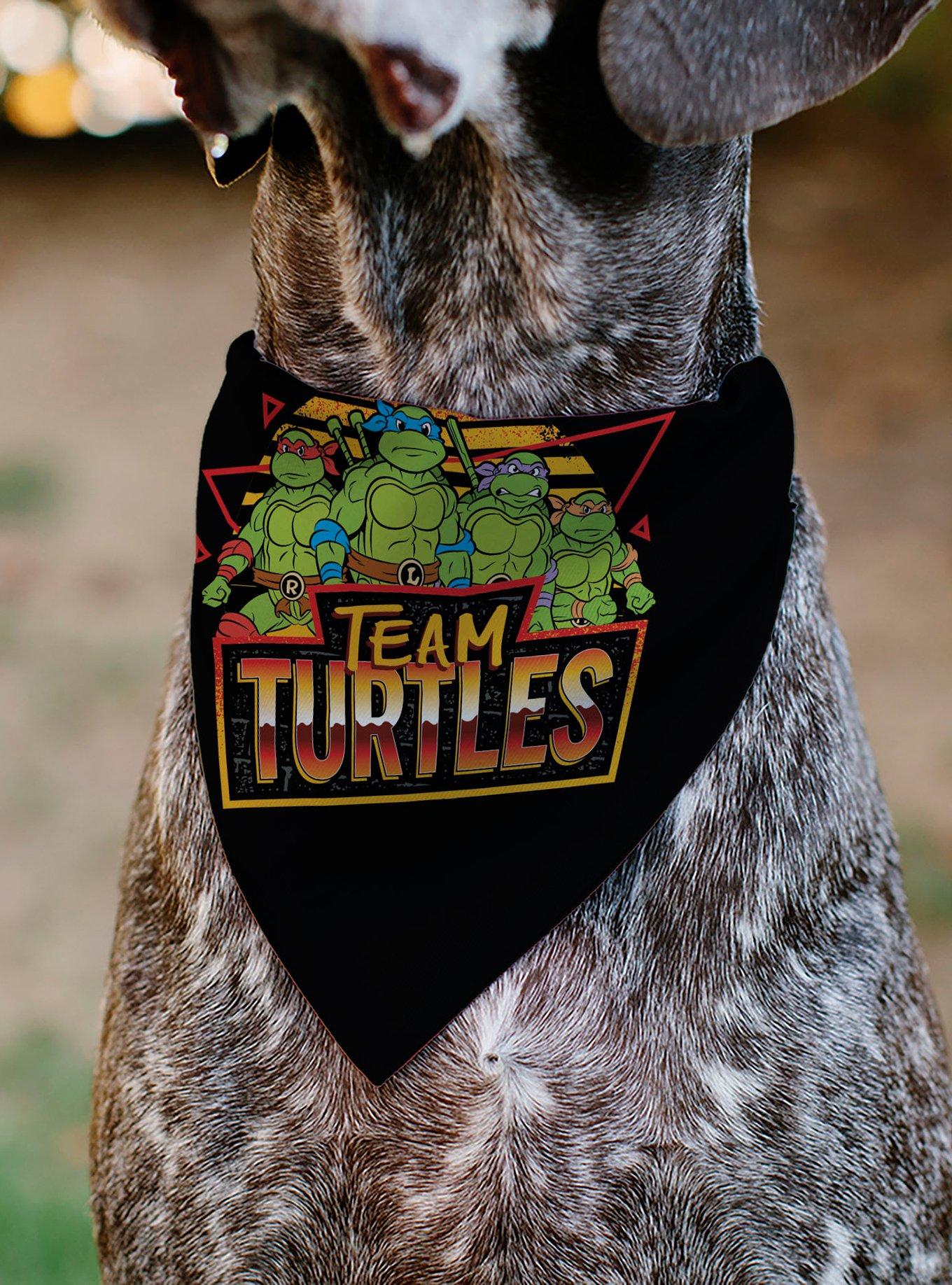 Teenage Mutant Ninja Turtles Team Turtles Pose Slip On Collar Pet Bandana - Bandana Only, , alternate
