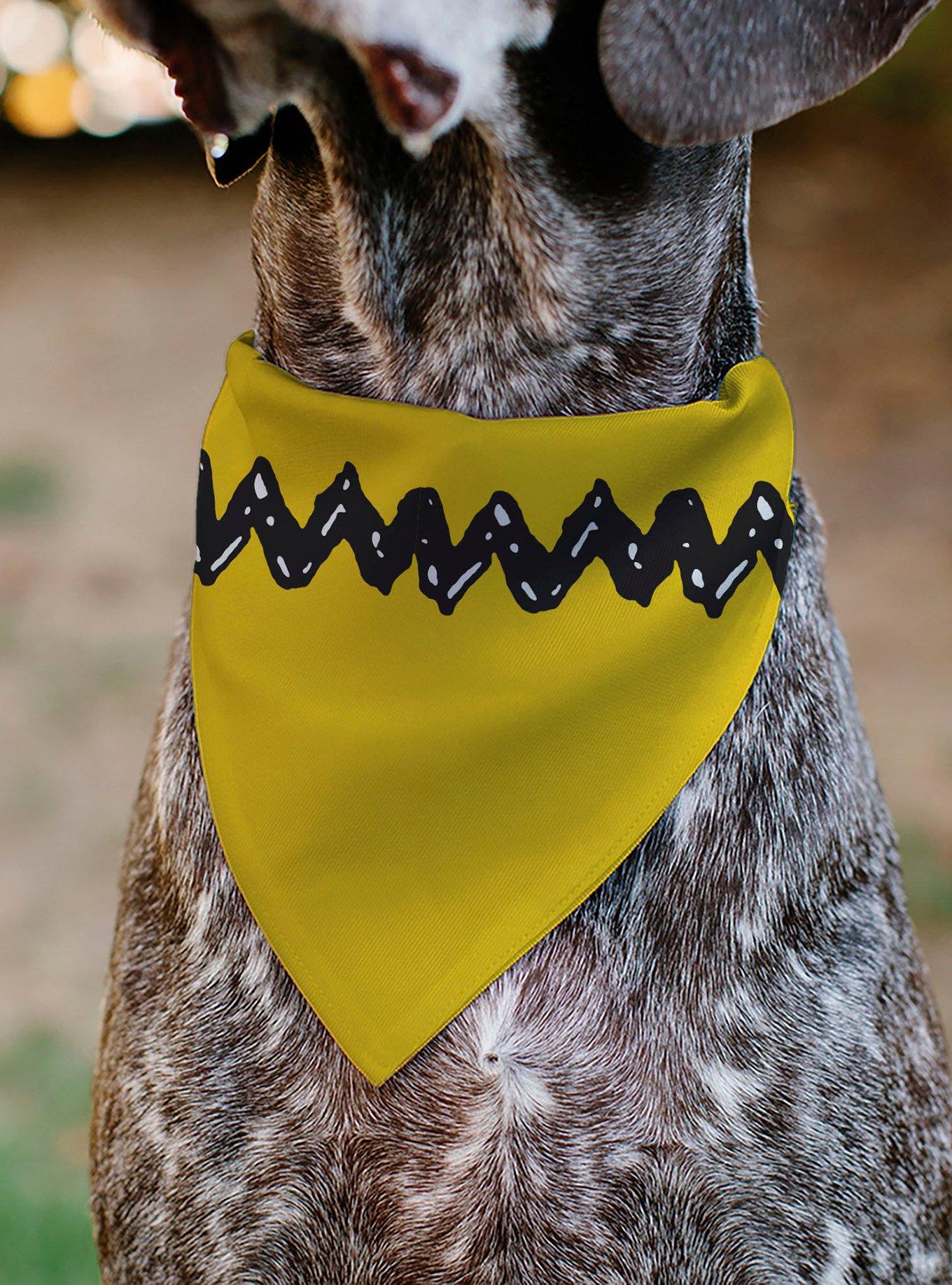 Peanuts 75th Charlie Brown Zig Zag Stripe Slip On Collar Pet Bandana - Bandana Only, , alternate