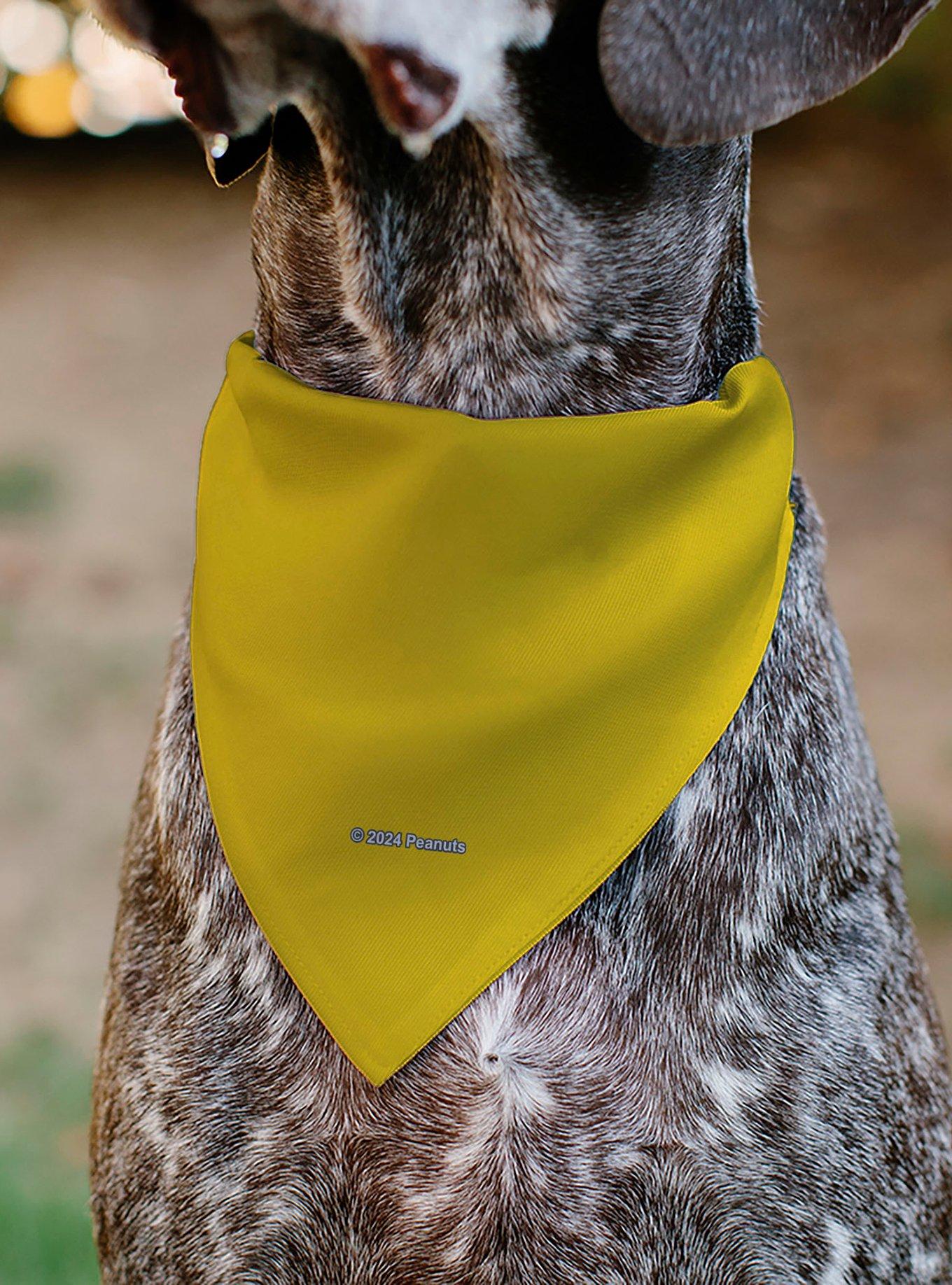 Peanuts 75th Charlie Brown Zig Zag Stripe Slip On Collar Pet Bandana - Bandana Only, , alternate