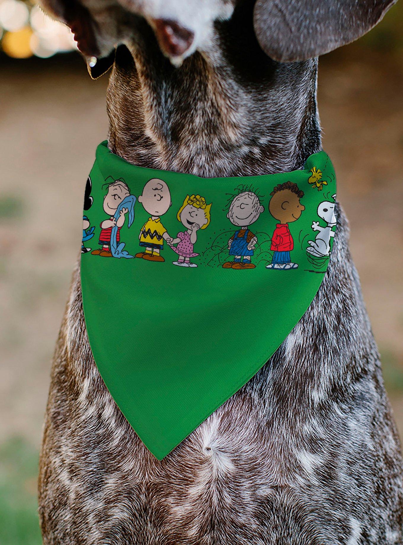 Peanuts Gang Group Pose Slip On Collar Pet Bandana - Bandana Only, , alternate