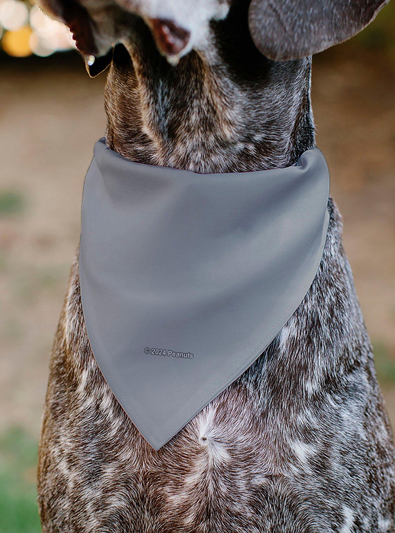Peanuts Gang Floating Astronauts Group Slip On Collar Pet Bandana - Bandana Only, , alternate