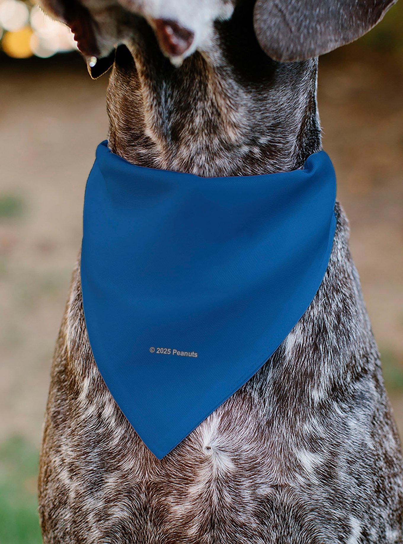 Peanuts Lucy Van Pelt Smiling Face Slip On Collar Pet Bandana - Bandana Only, , alternate
