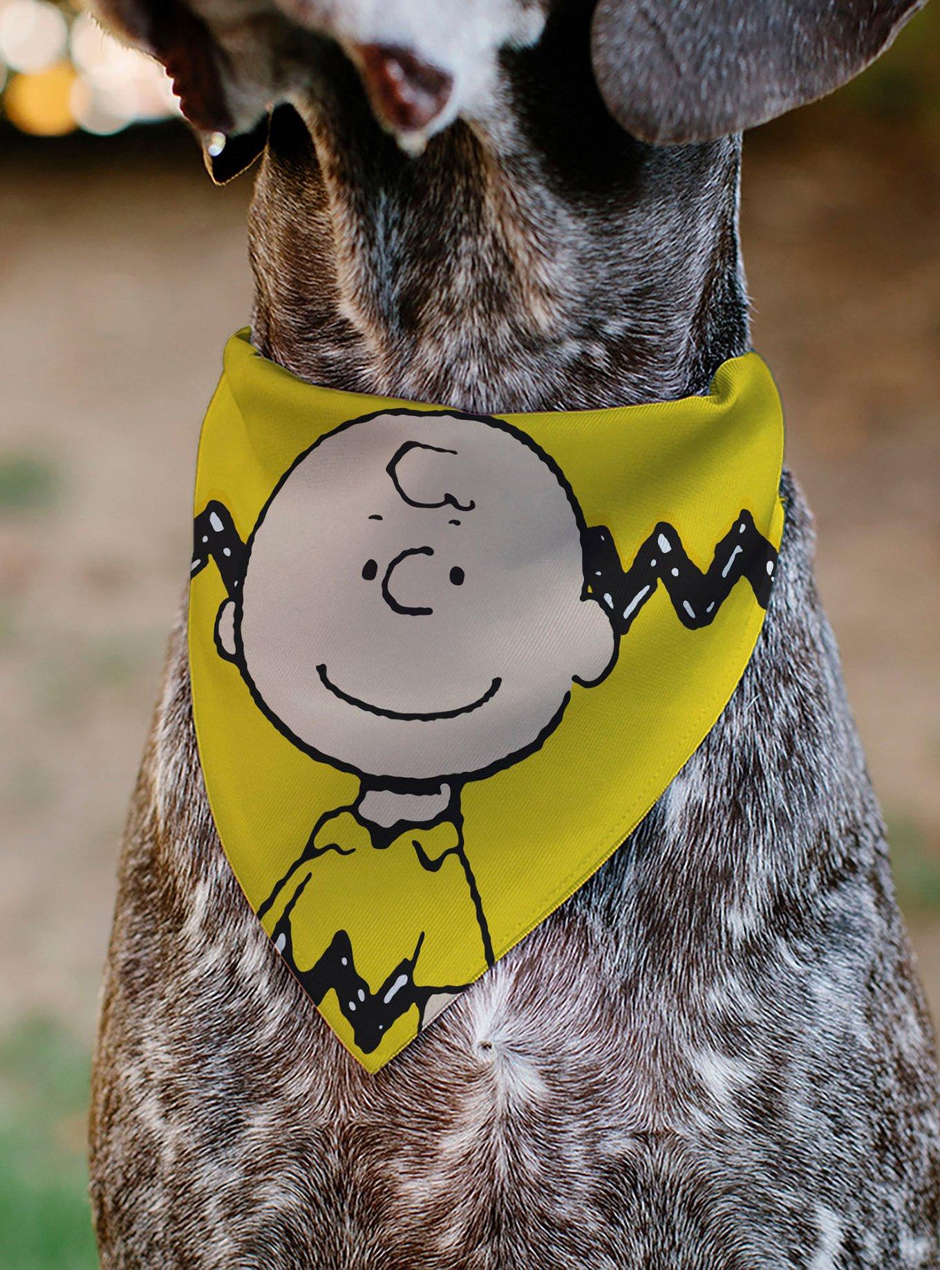 Peanuts Charlie Brown Smiling Face With Stripe Slip On Collar Pet Bandana - Bandana Only, , alternate