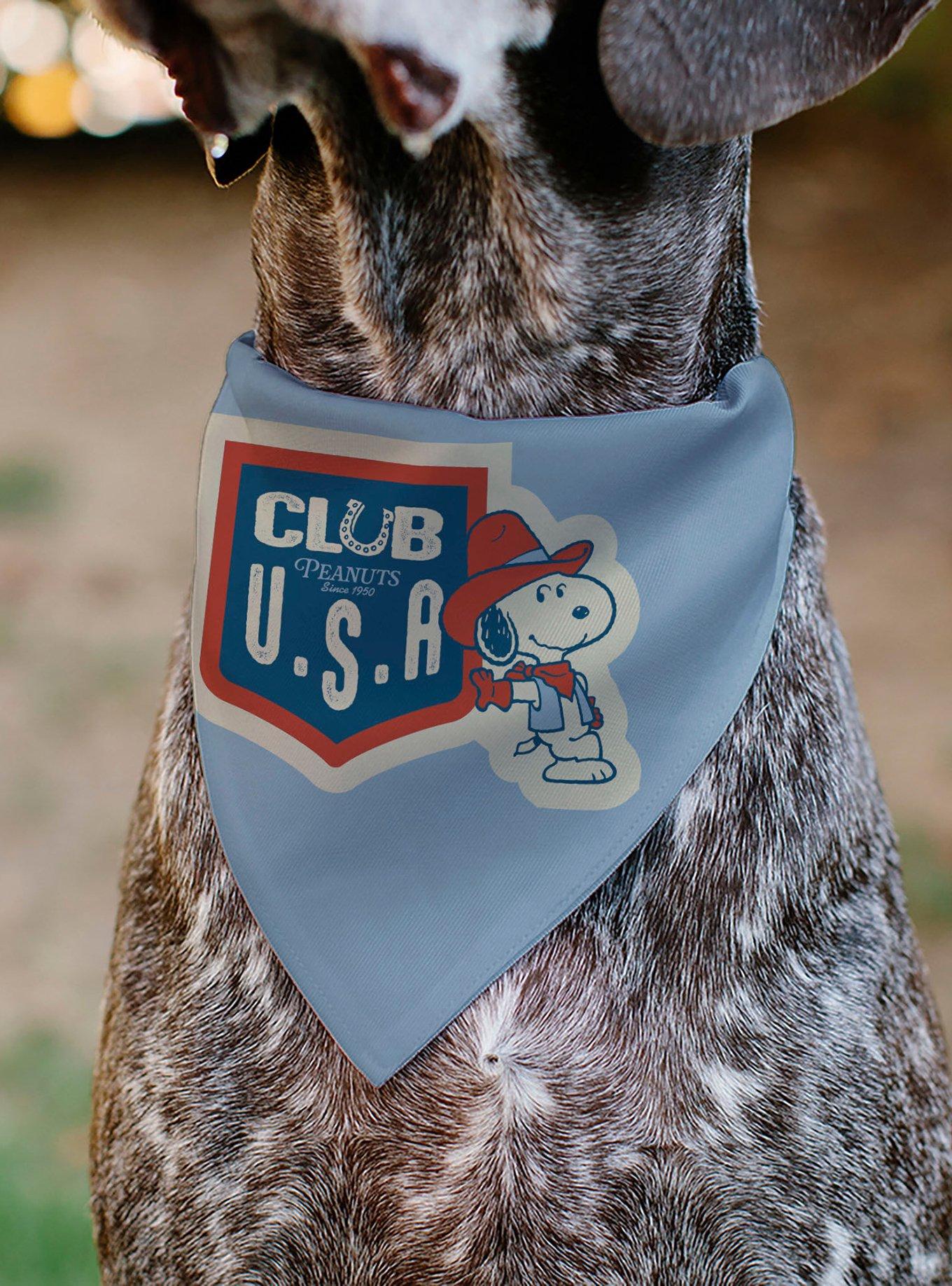 Peanuts Snoopy Cowboy USA Slip On Collar Pet Bandana - Bandana Only, , alternate