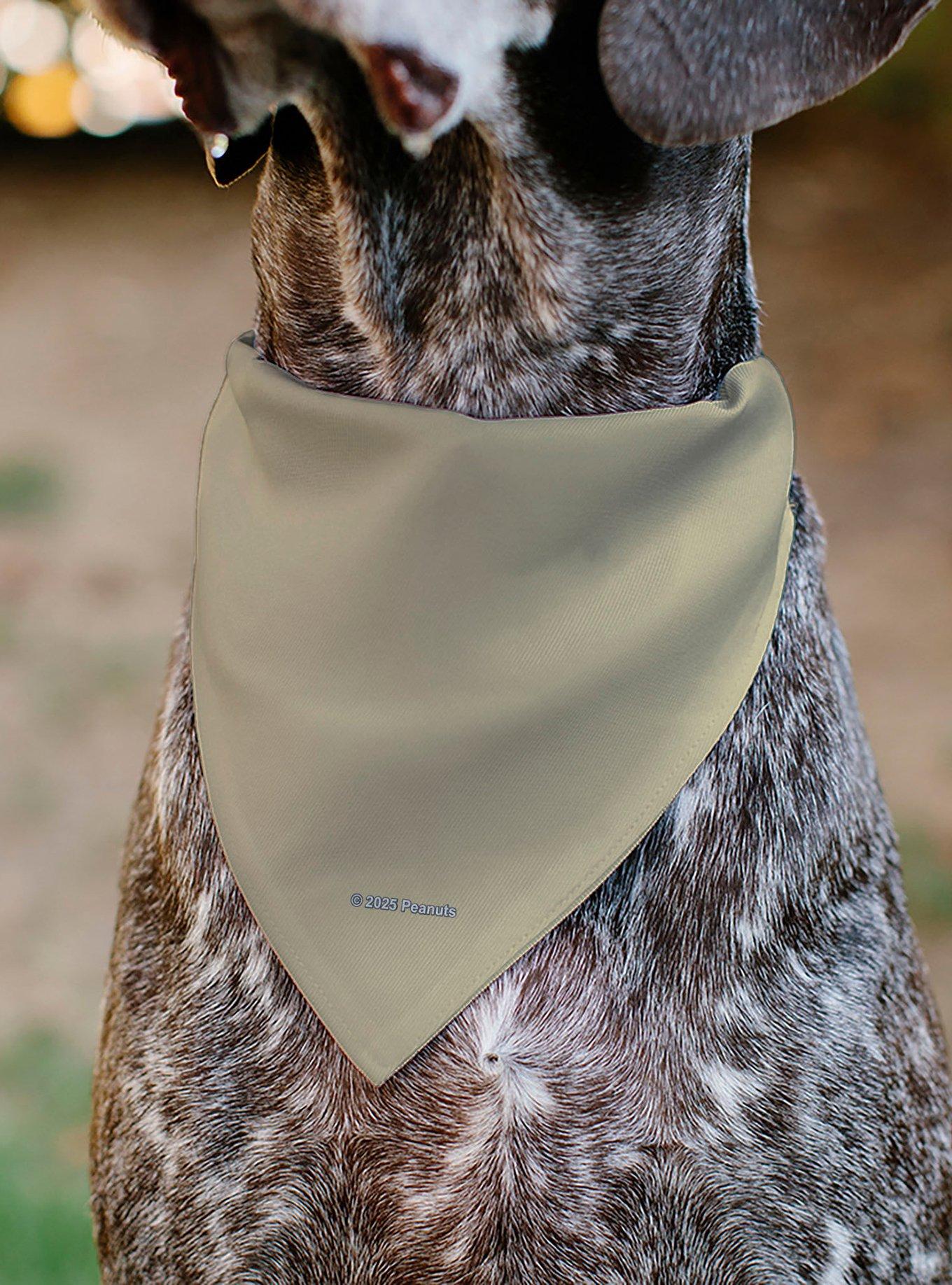 Peanuts Snoopy All American Rodeo Club Slip On Collar Pet Bandana - Bandana Only, , alternate
