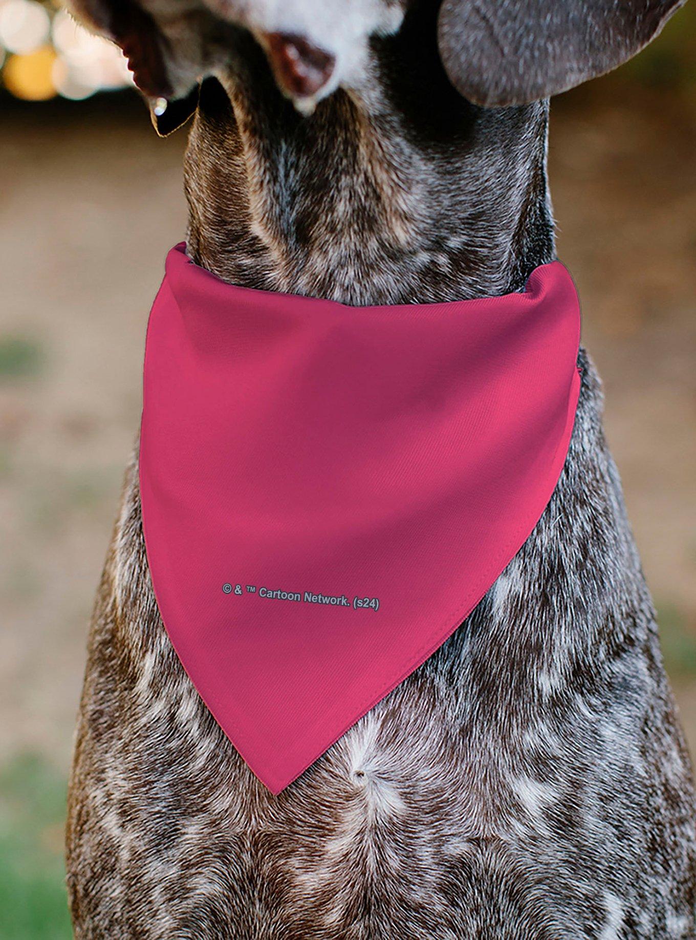 The Powerpuff Girls Super Cute Super Fierce Slip On Collar Pet Bandana - Bandana Only, , alternate