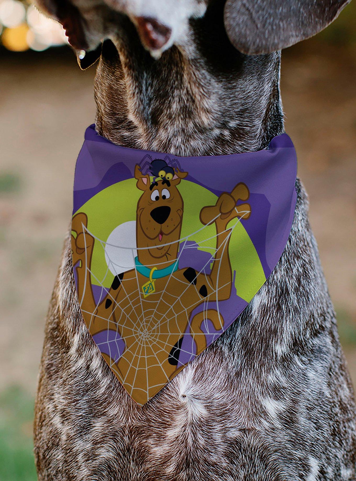 Scooby-Doo! Halloween Spider Web Creepy Crawlies Slip On Collar Pet Bandana - Bandana Only, , alternate