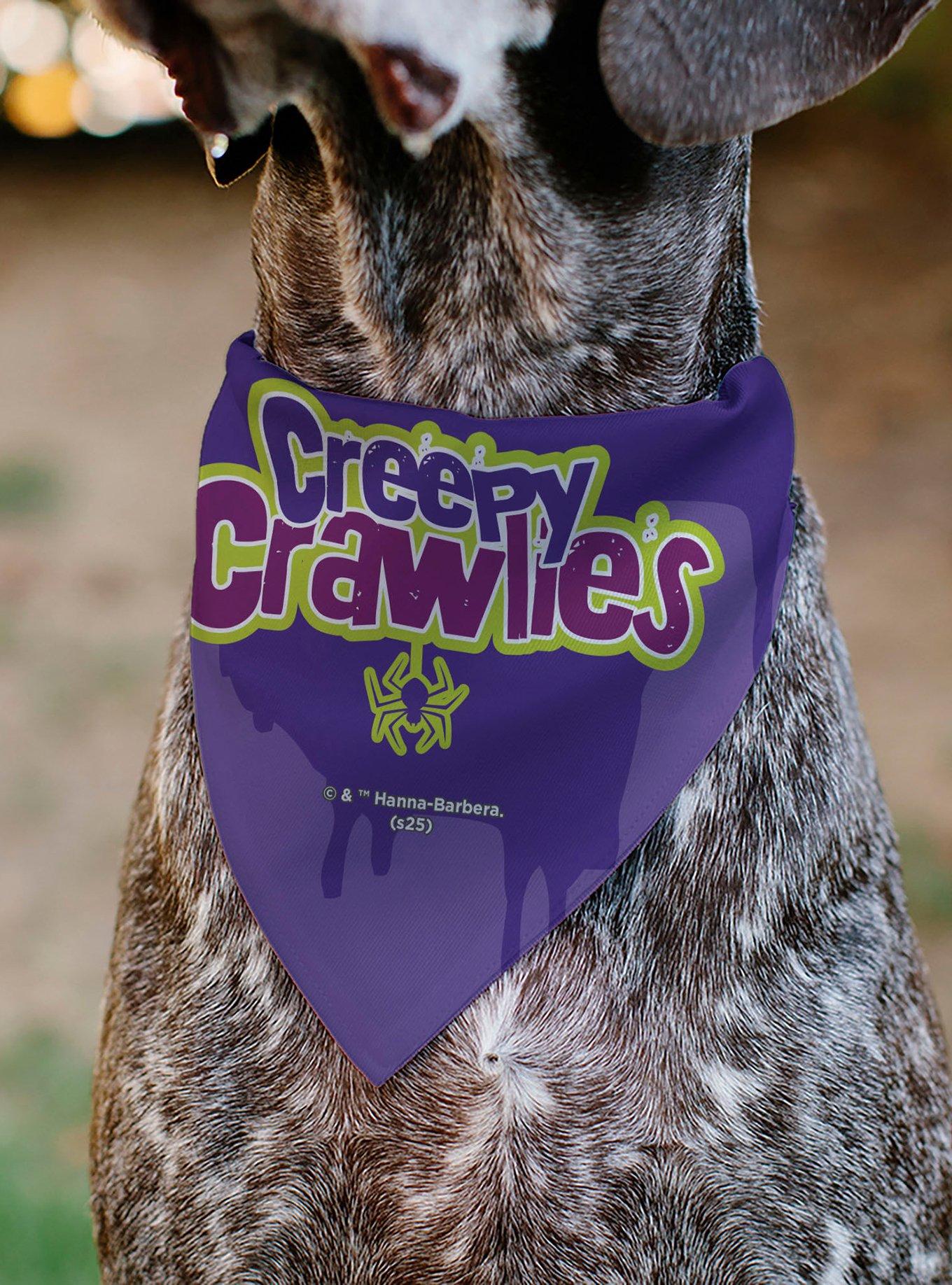 Scooby-Doo! Halloween Spider Web Creepy Crawlies Slip On Collar Pet Bandana - Bandana Only, , alternate