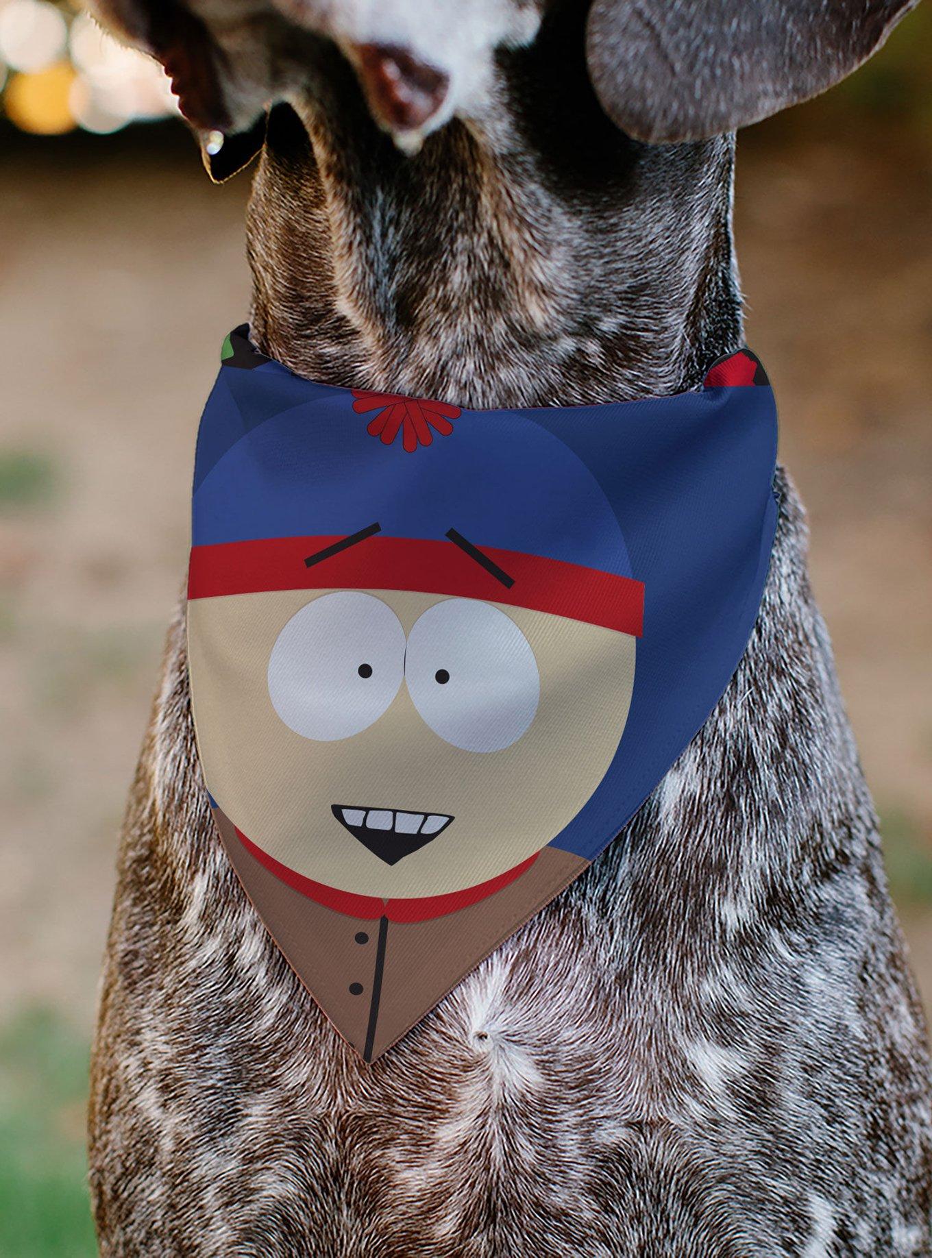 South Park Stan Marsh Face Slip On Collar Pet Bandana - Bandana Only, , alternate