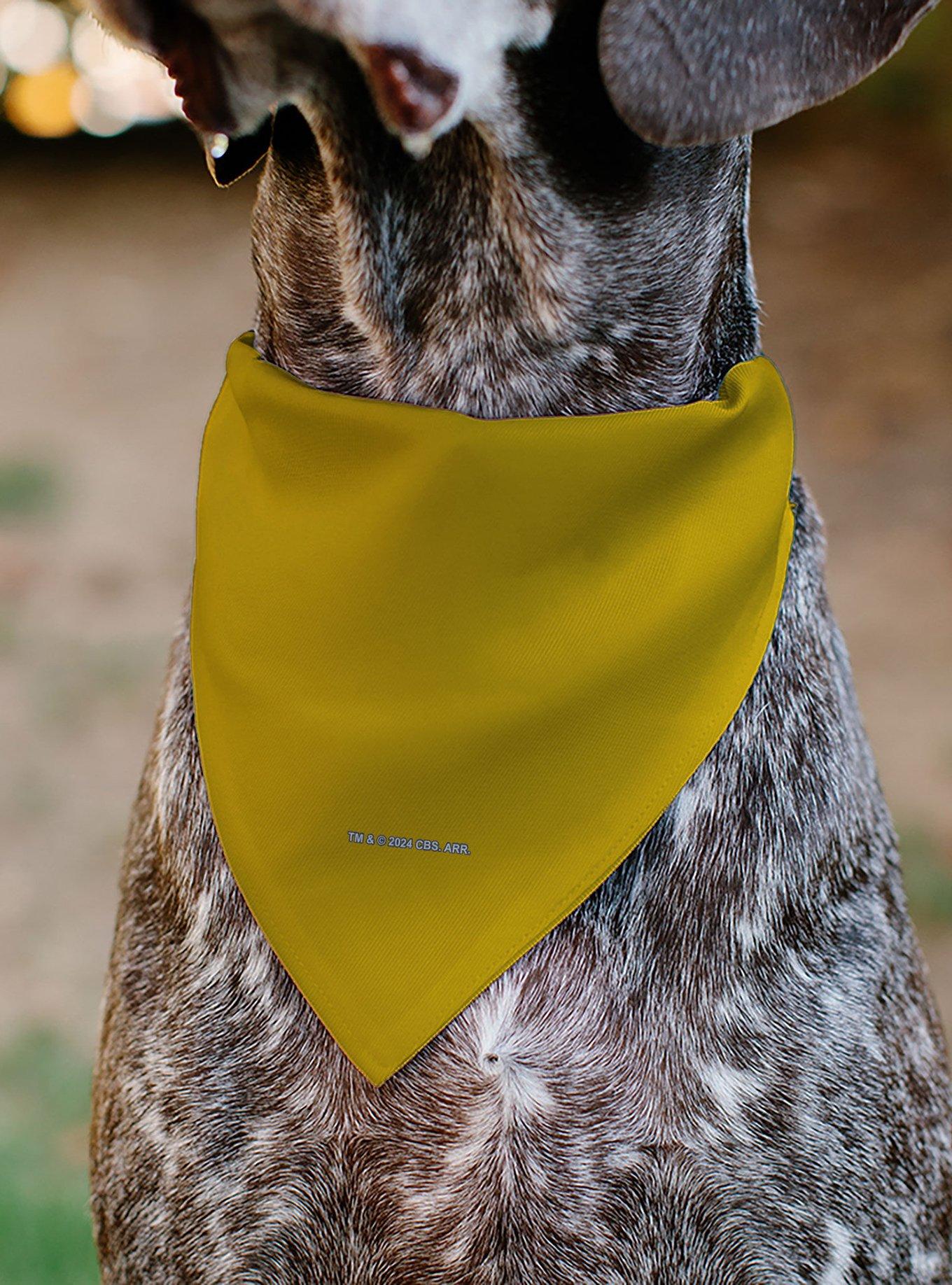 Star Trek Original Series Captain Kirk Golden Uniform Slip On Collar Pet Bandana - Bandana Only, , alternate
