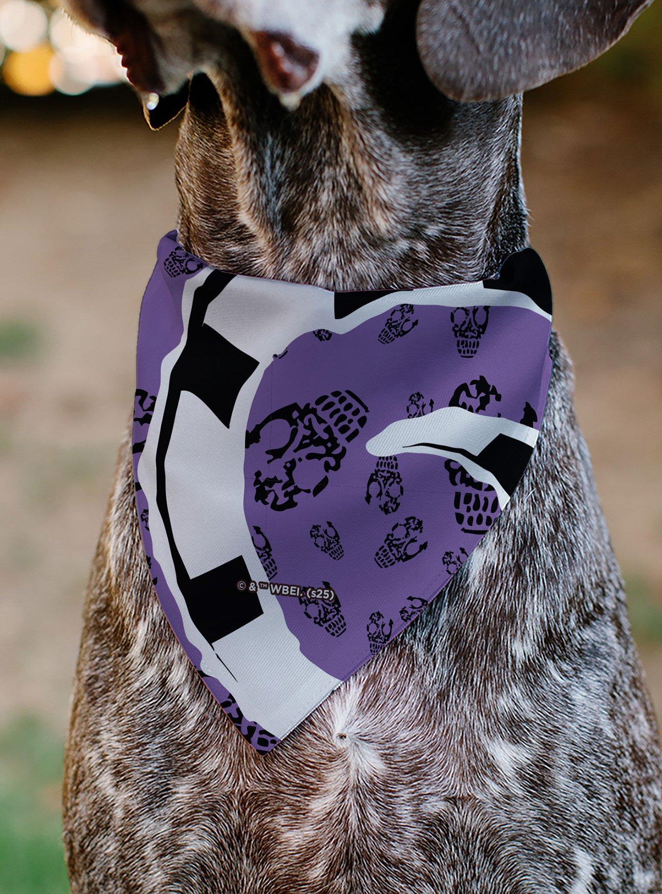 Beetlejuice Sandworm Pose and Skulls Icon Purple Black Slip On Collar Pet Bandana - Bandana Only, , alternate