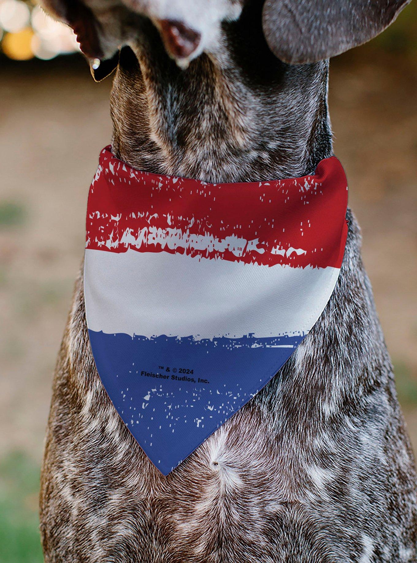 Betty Boop Pose Americana Stripe Slip On Collar Pet Bandana - Bandana Only, , alternate