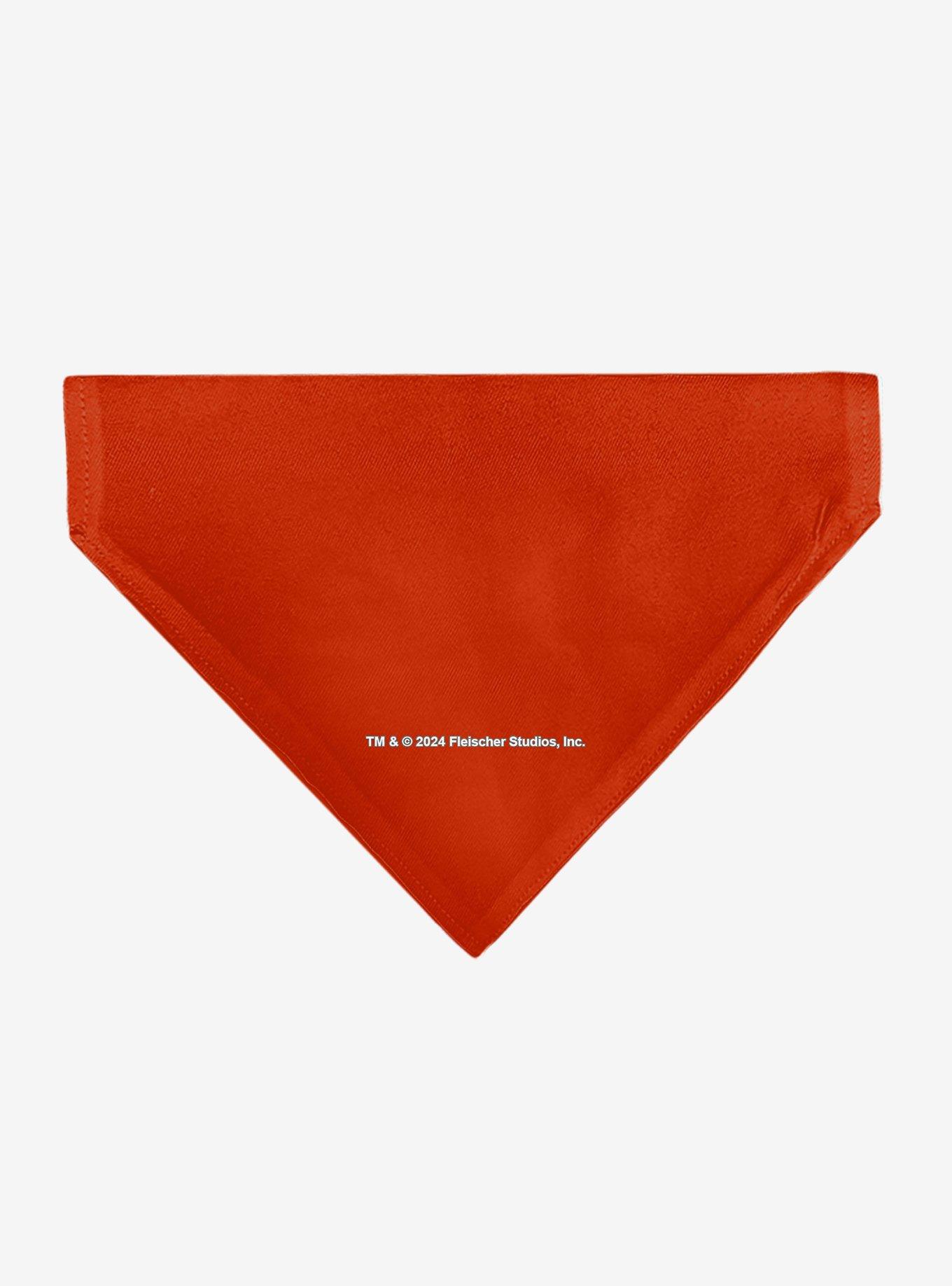 Betty Boop Sassy Face Slip On Collar Pet Bandana - Bandana Only