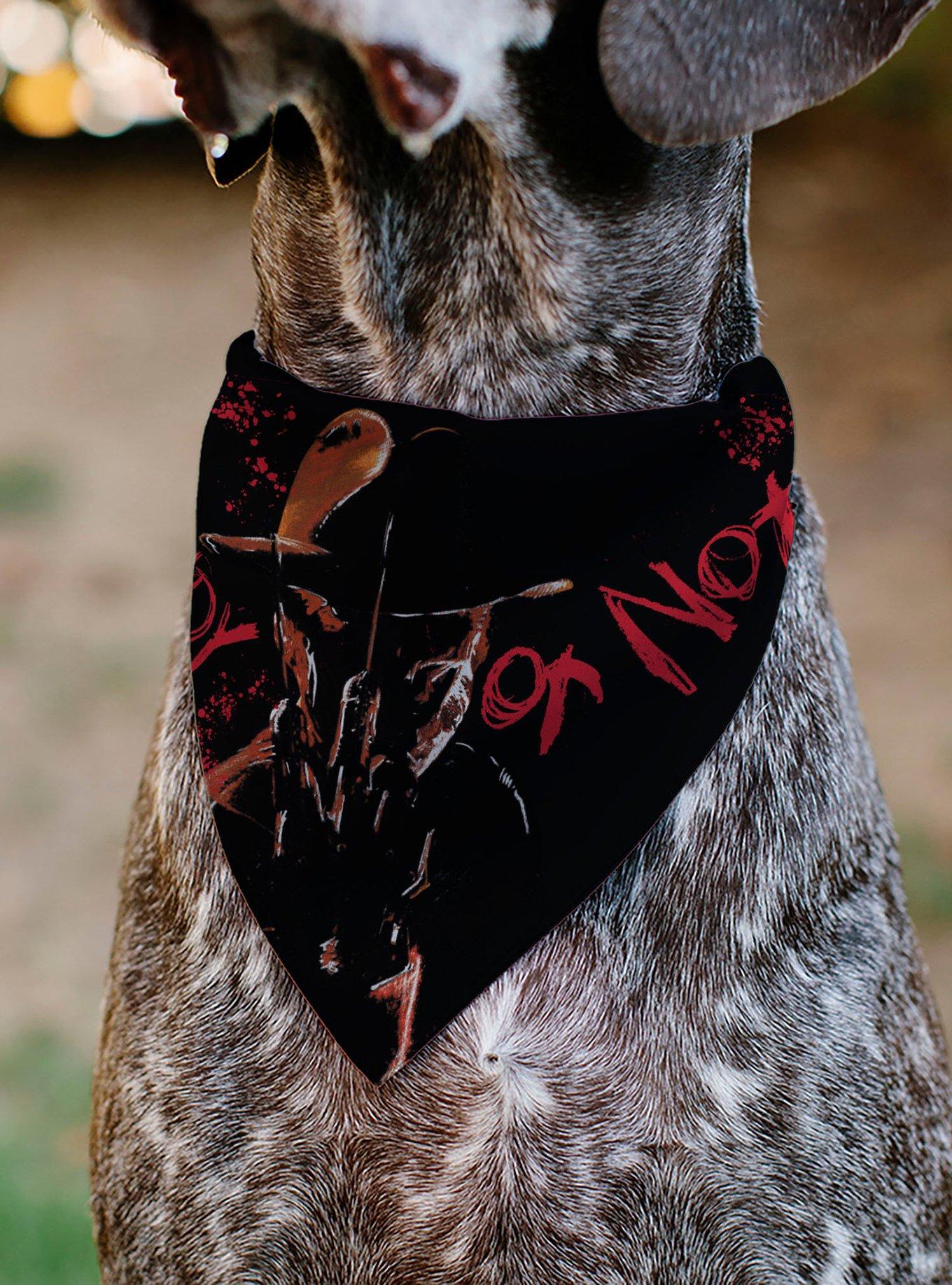 A Nightmare On Elm Street Ready Or Not Here I Come Slip On Collar Pet Bandana - Bandana Only, , alternate