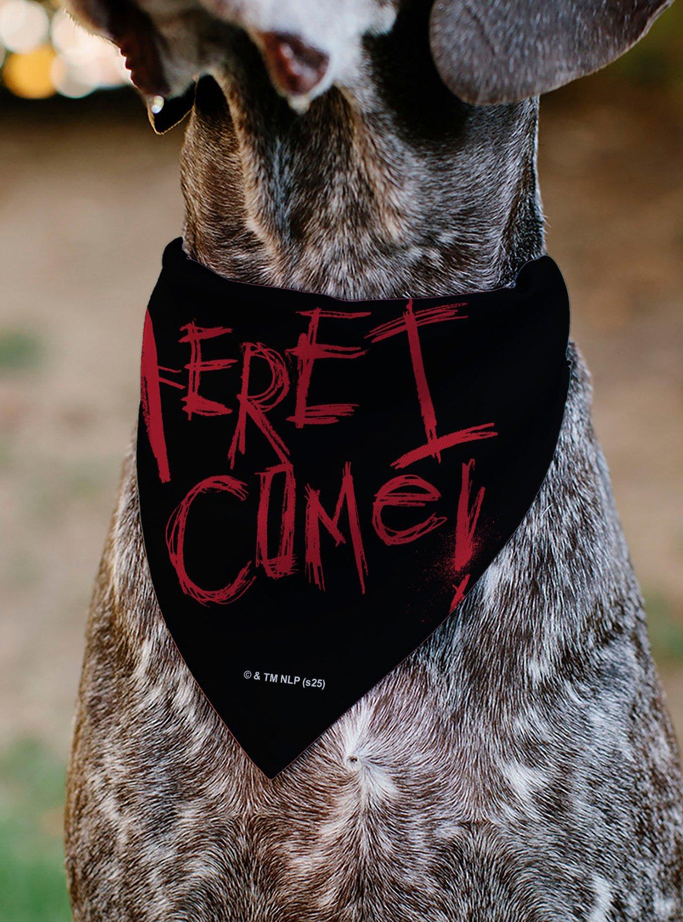 A Nightmare On Elm Street Ready Or Not Here I Come Slip On Collar Pet Bandana - Bandana Only, , alternate