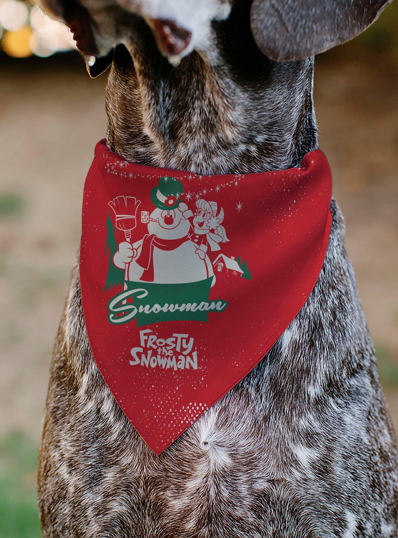 Frosty The Snowman Karen Pose and Logo Slip On Collar Pet Bandana - Bandana Only, , alternate