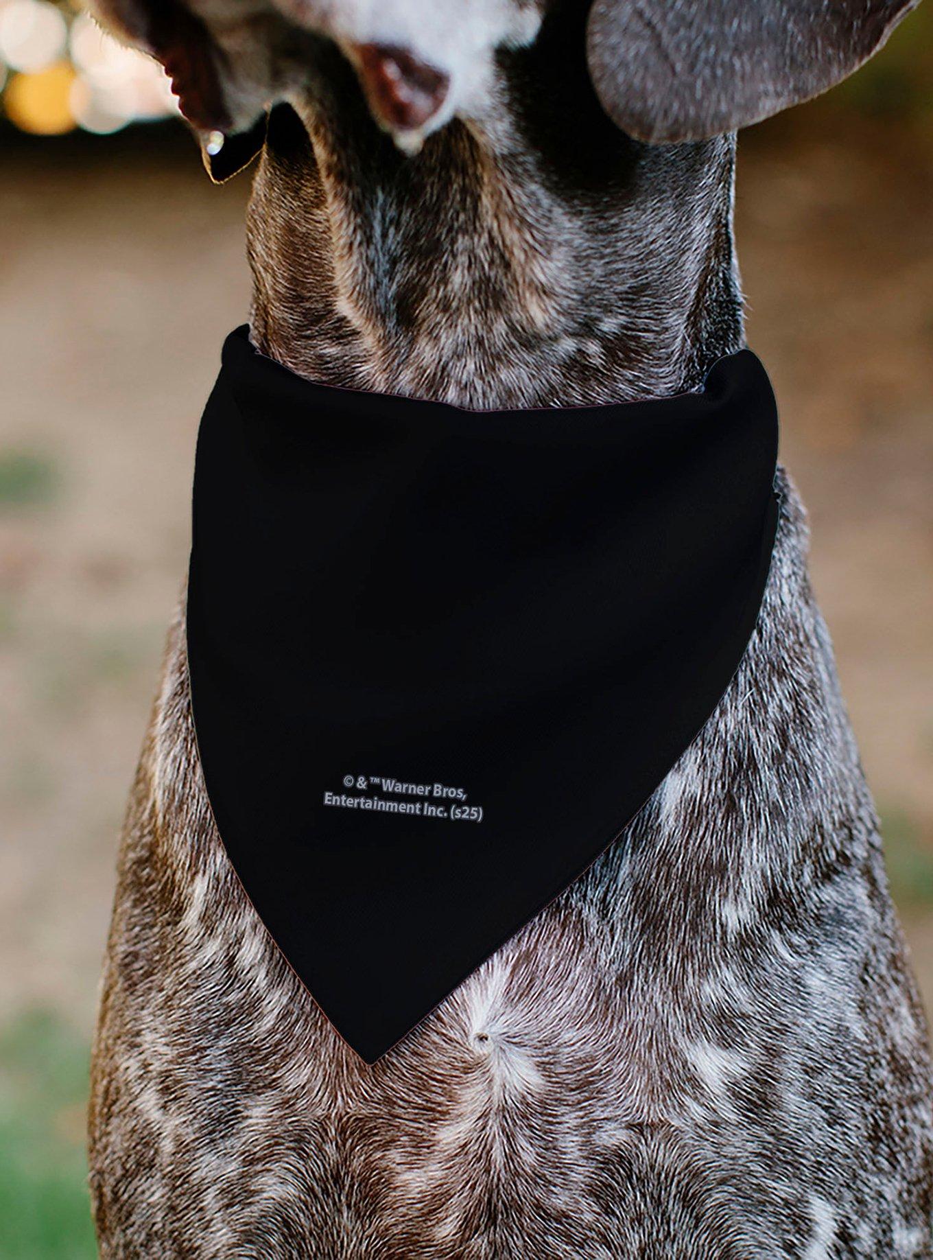 Harry Potter Chibi Voldemort Master of The Dark Arts Black Slip On Collar Pet Bandana - Bandana Only, , alternate