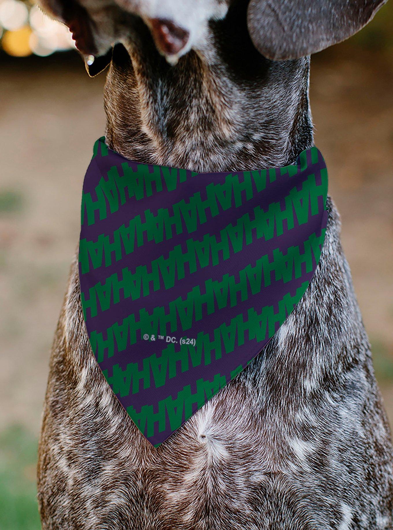 DC Comics The Joker Laugh Hahaha Text Slip On Collar Pet Bandana - Bandana Only, , alternate