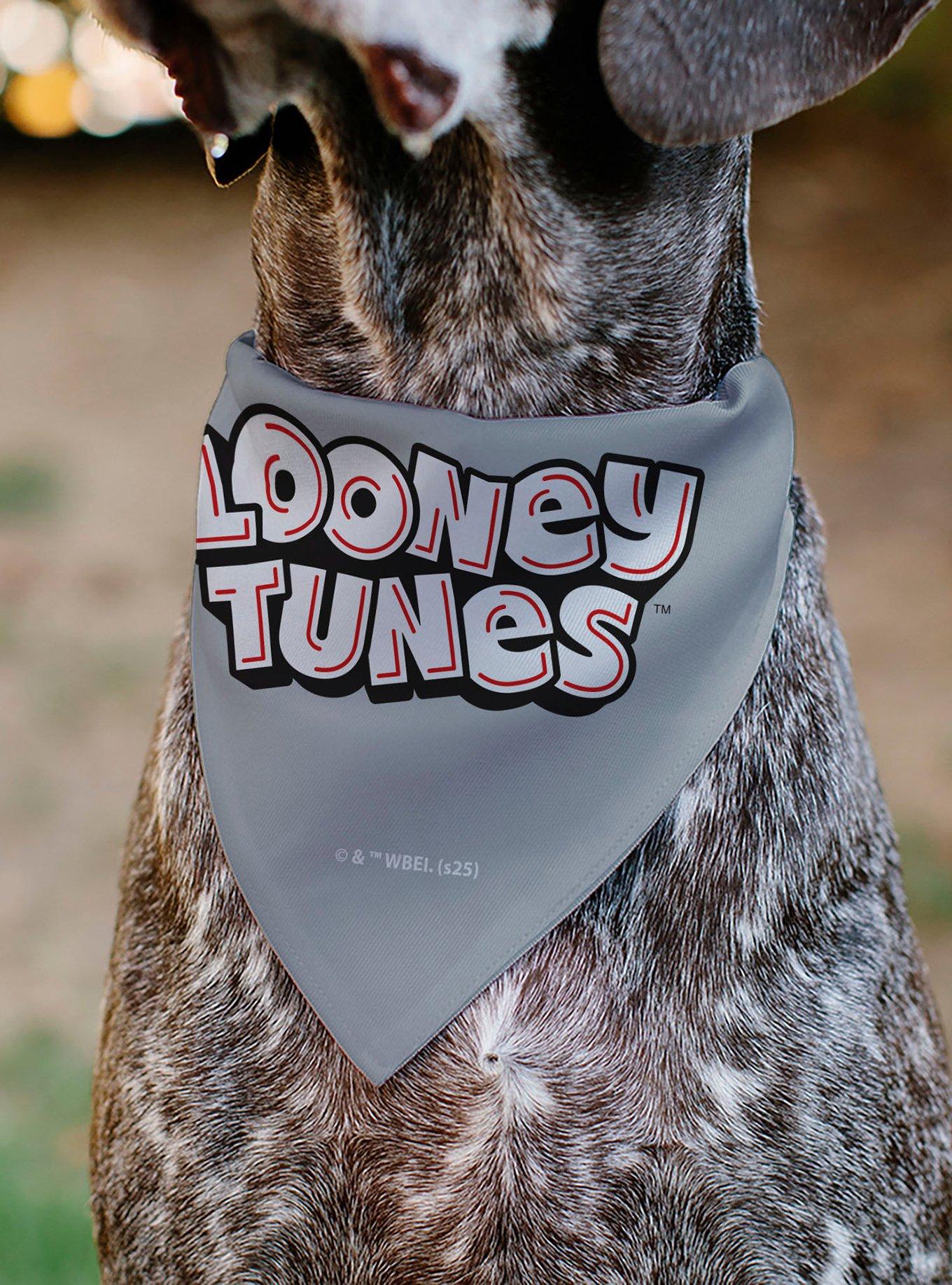 Looney Tunes Bugs Bunny Face Close Up Slip On Collar Pet Bandana - Bandana Only, , alternate