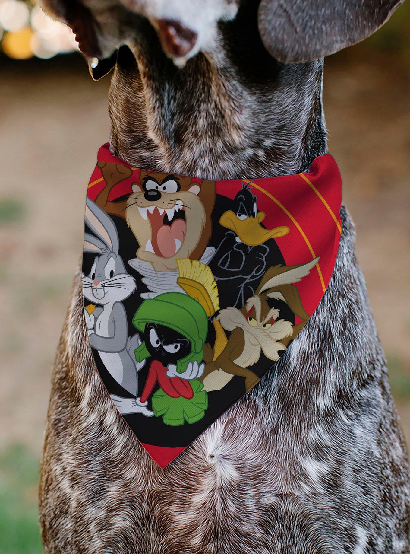 Looney Tunes Five Character Target Close Up Pose Slip On Collar Pet Bandana - Bandana Only, , alternate