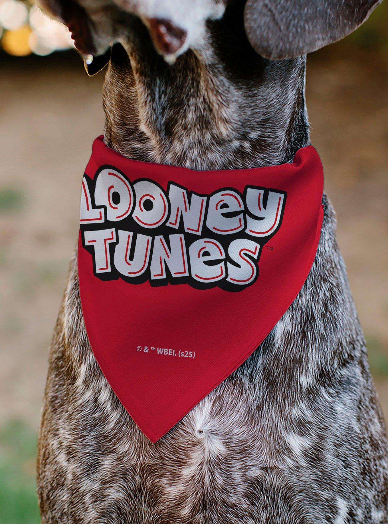 Looney Tunes Five Character Target Close Up Pose Slip On Collar Pet Bandana - Bandana Only, , alternate