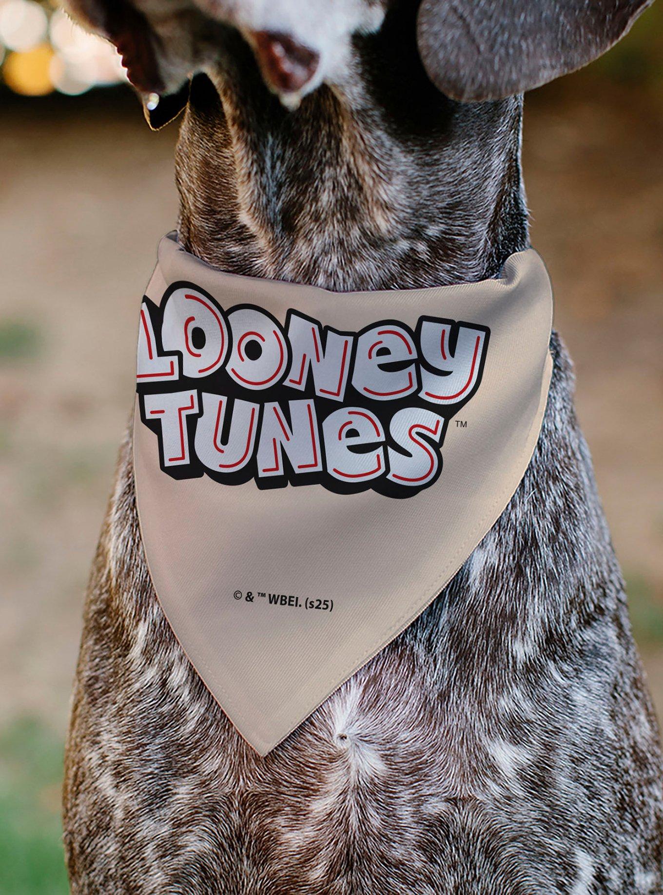 Looney Tunes Six Character Stack Pose Slip On Collar Pet Bandana - Bandana Only, , alternate
