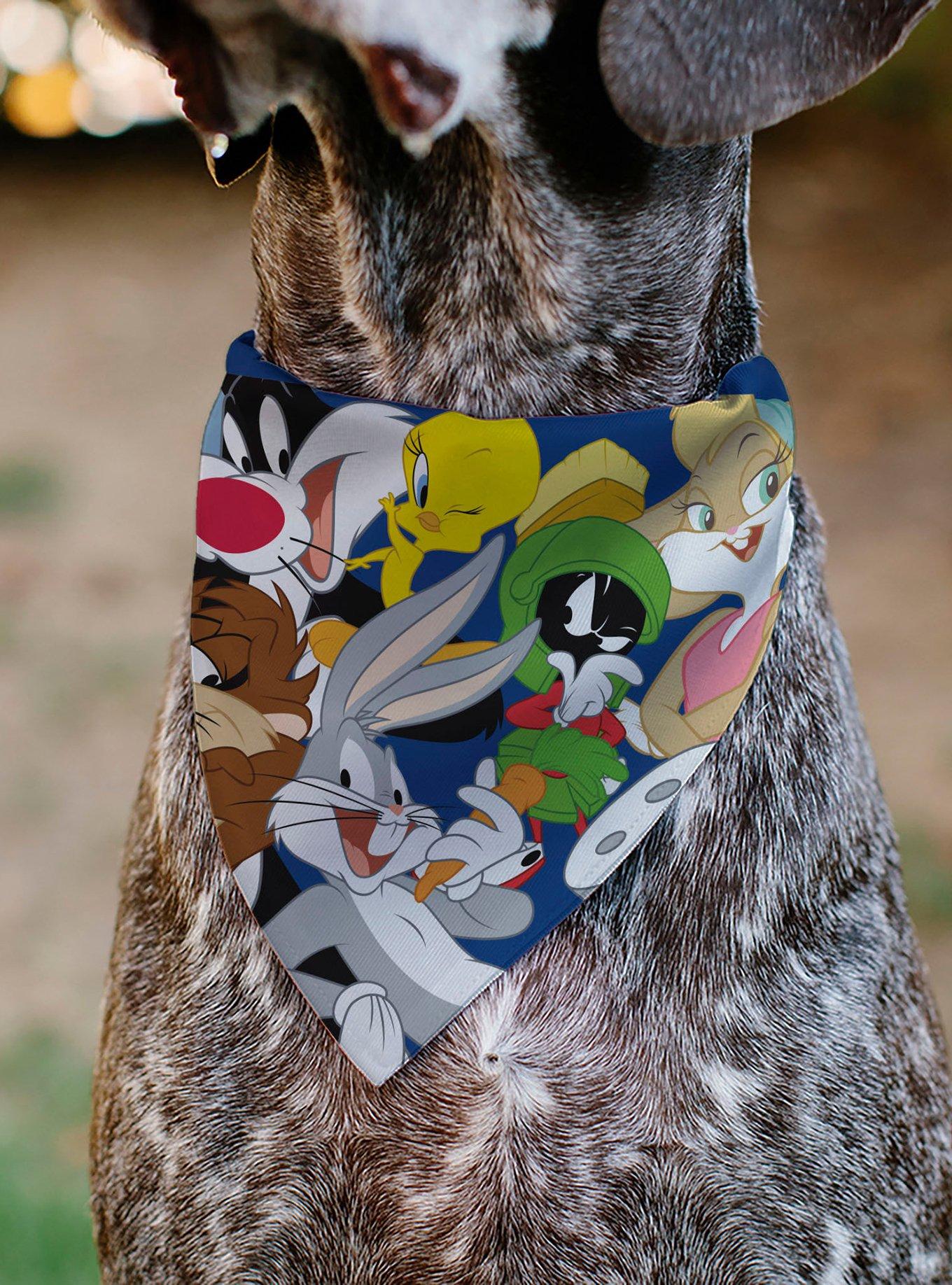 Looney Tunes Seven Character Stack Pose Slip On Collar Pet Bandana - Bandana Only, , alternate