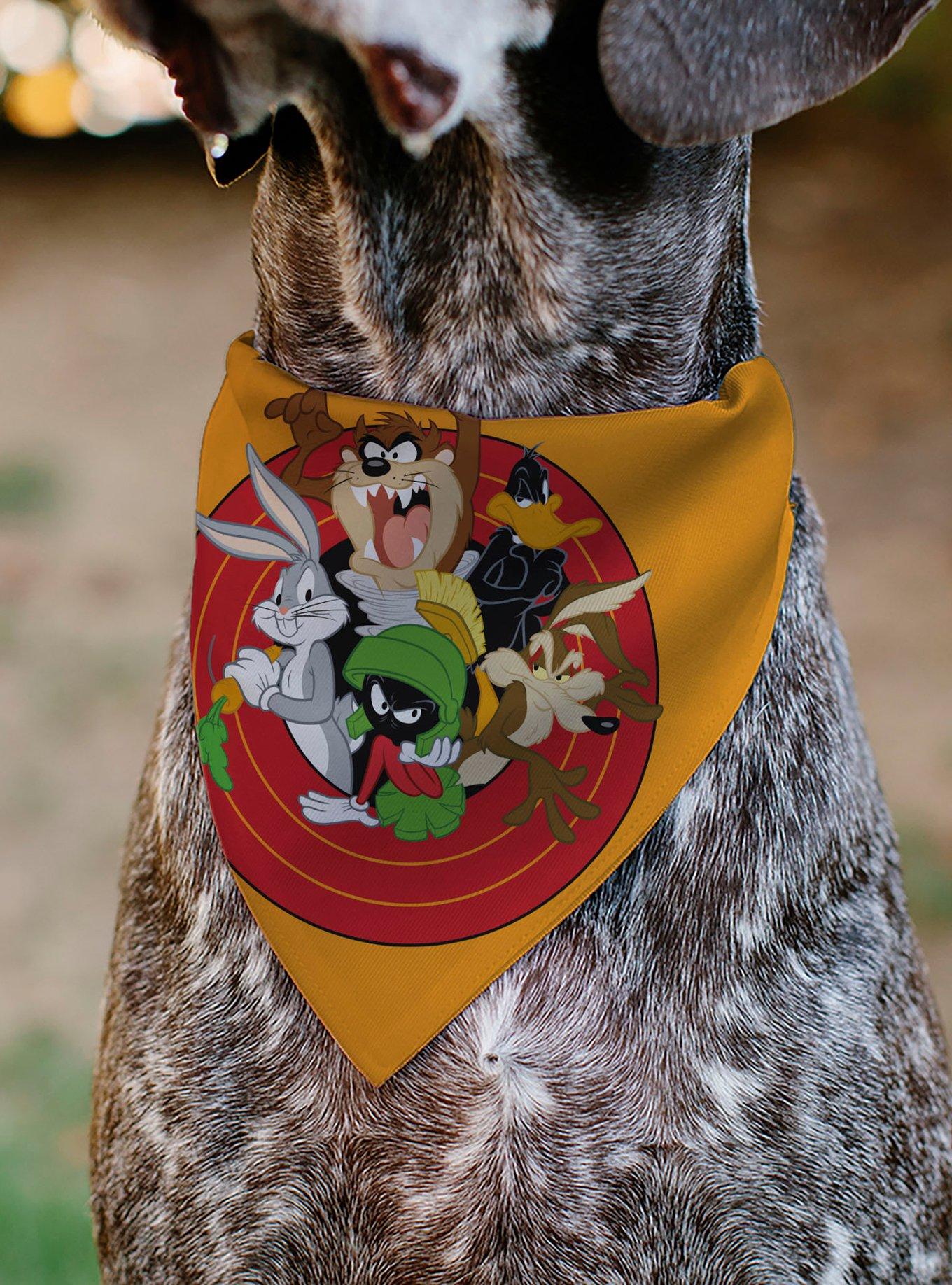 Looney Tunes Five Character Target Pose Slip On Collar Pet Bandana - Bandana Only
