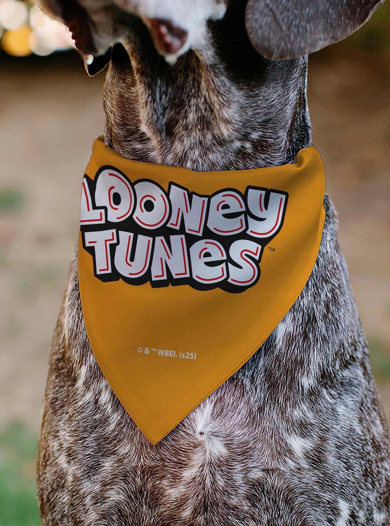 Looney Tunes Five Character Target Pose Slip On Collar Pet Bandana - Bandana Only, , alternate