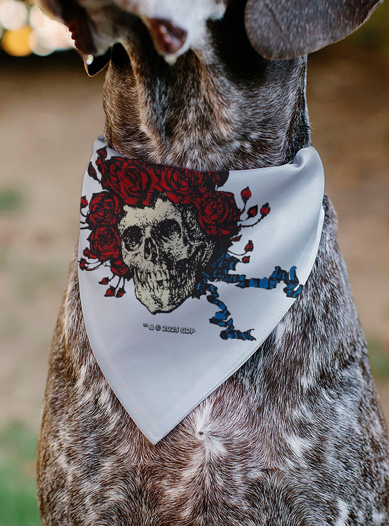 Grateful Dead Skull and Rose Face Slip On Collar Pet Bandana - Bandana Only, , alternate