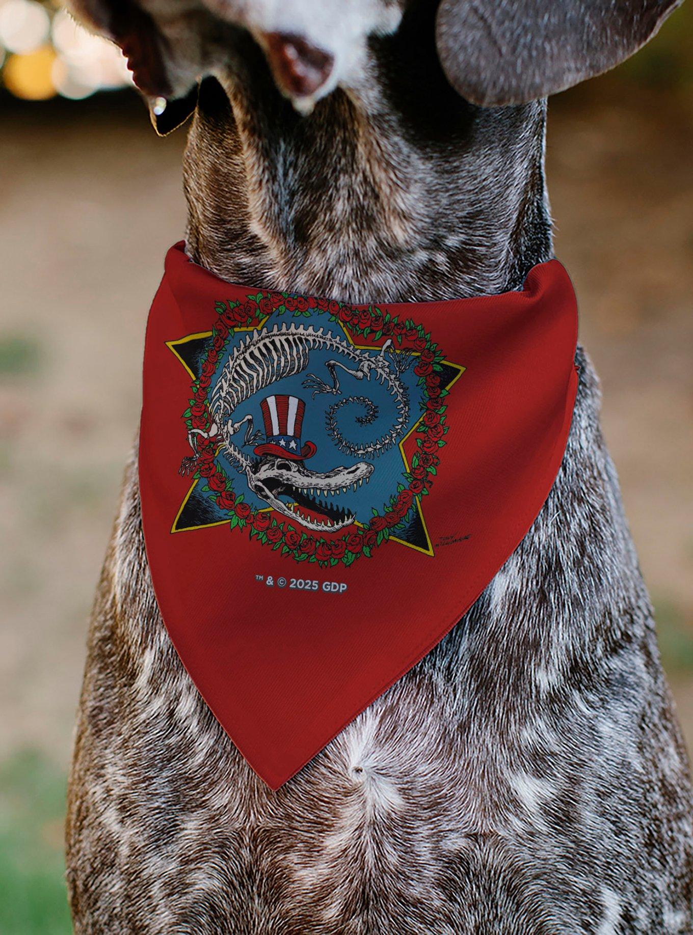 Grateful Dead Daves Picks Volume Ten Alligator Bonus Art Slip On Collar Pet Bandana - Bandana Only, , alternate