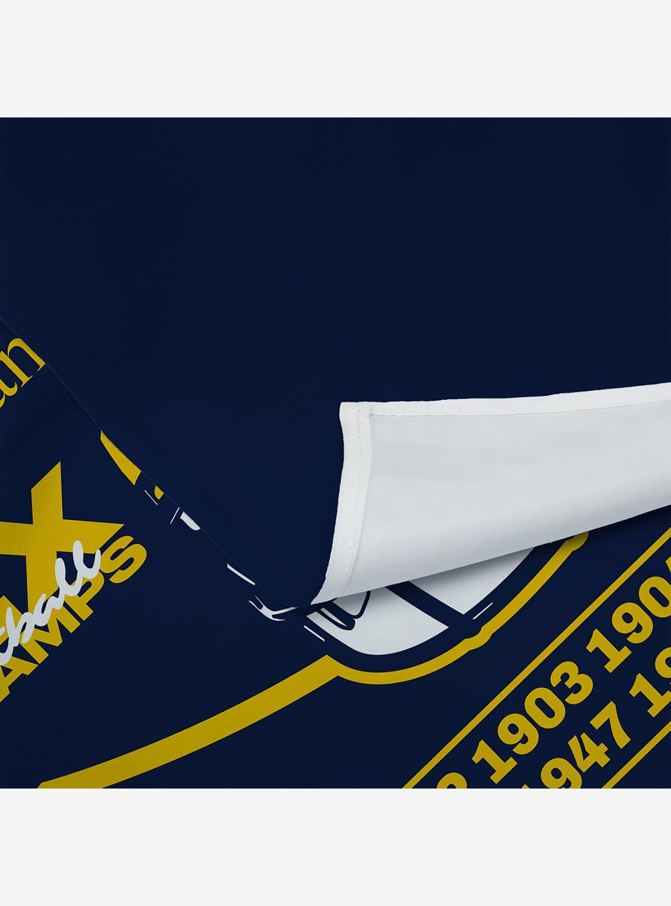 NCAA 2023 FBC Nameplate Michigan Wall Hanging, , alternate - view 4