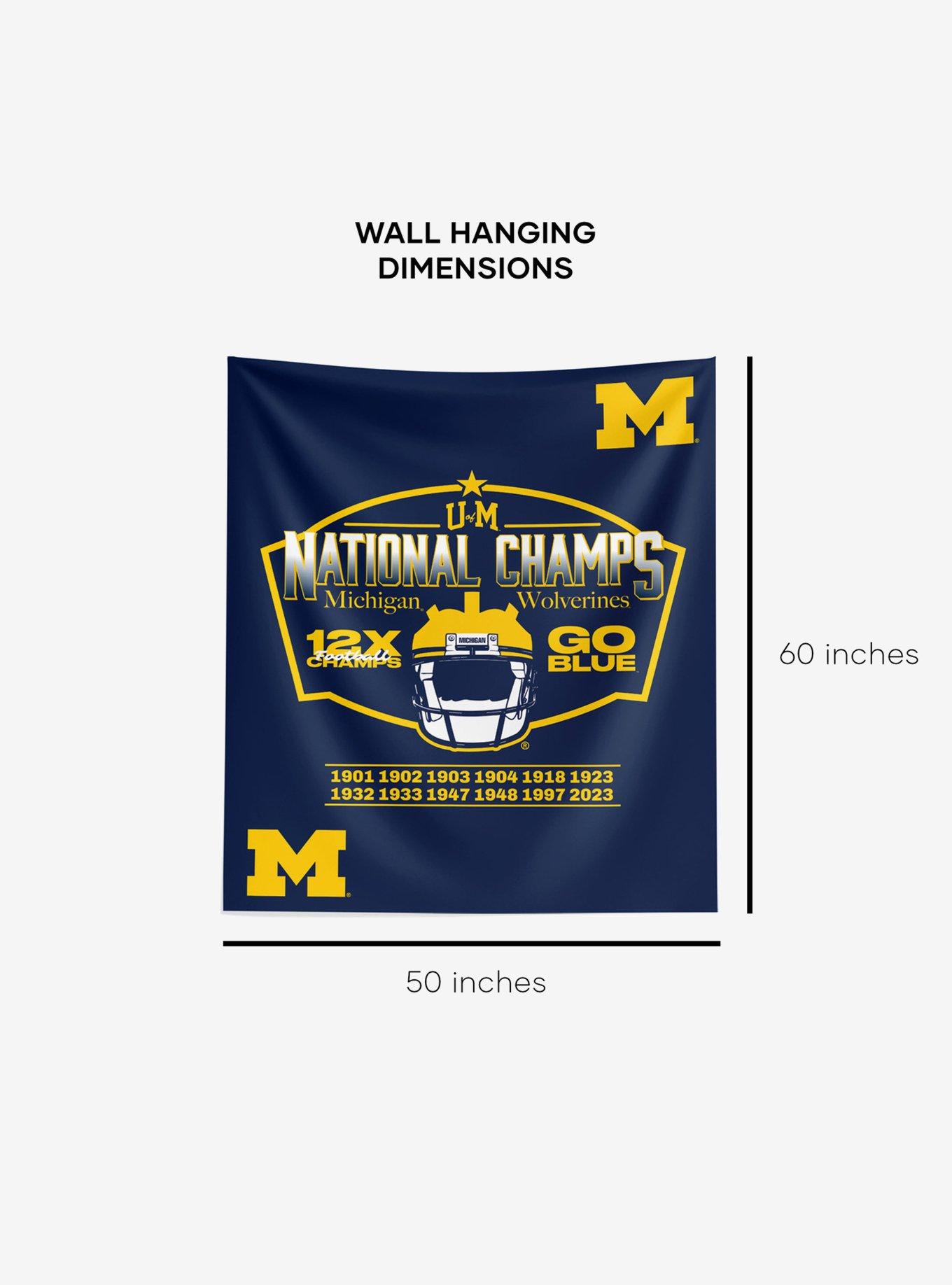 NCAA 2023 FBC Nameplate Michigan Wall Hanging, , alternate - view 5