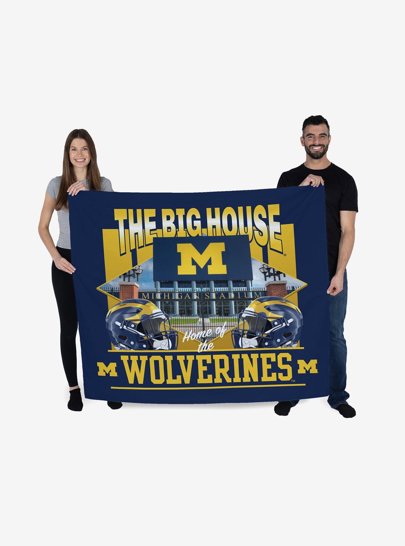 NCAA Michigan Wolverines The Big House Wall Hanging, , hi-res