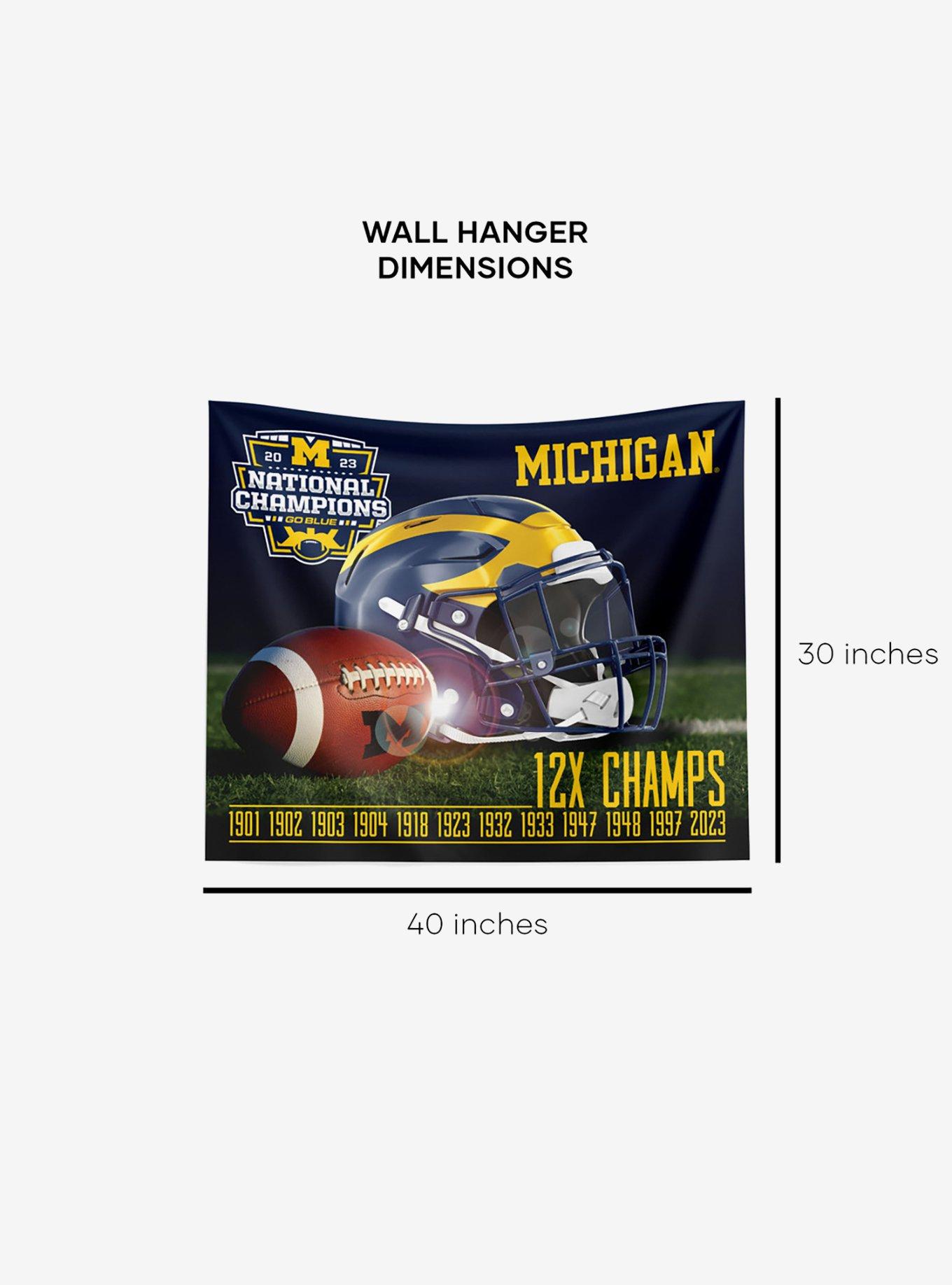 NCAA 2023 FBC Training Michigan Wall Hanging, , alternate - view 5