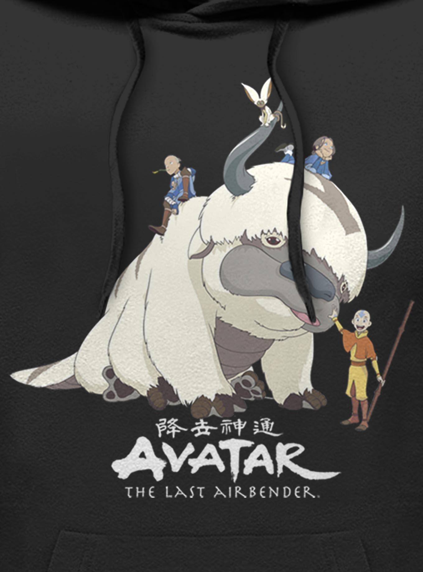 Avatar: The Last Airbender Avatar The Gang Hoodie, , hi-res