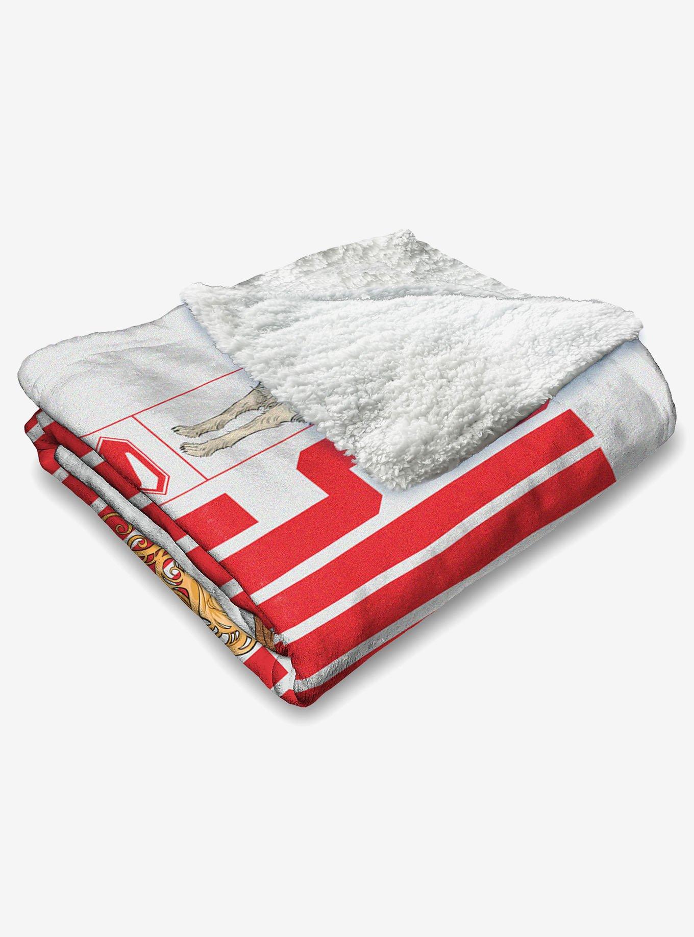 DC Comics Supergirl Save the Day Silk Touch Sherpa Throw Blanket, , alternate - view 4