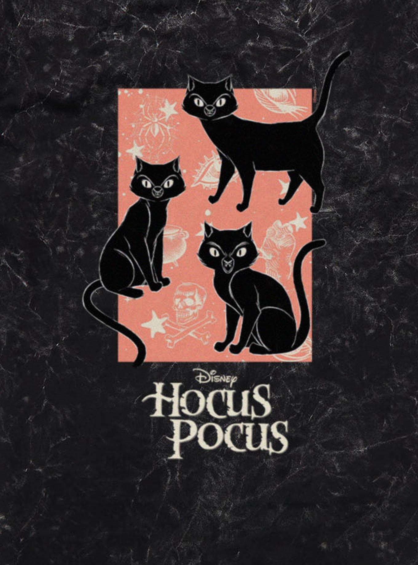 Disney Hocus Pocus Spooky Black Cats Mineral Wash T-Shirt, BLACK MINERAL WASH, alternate - view 2