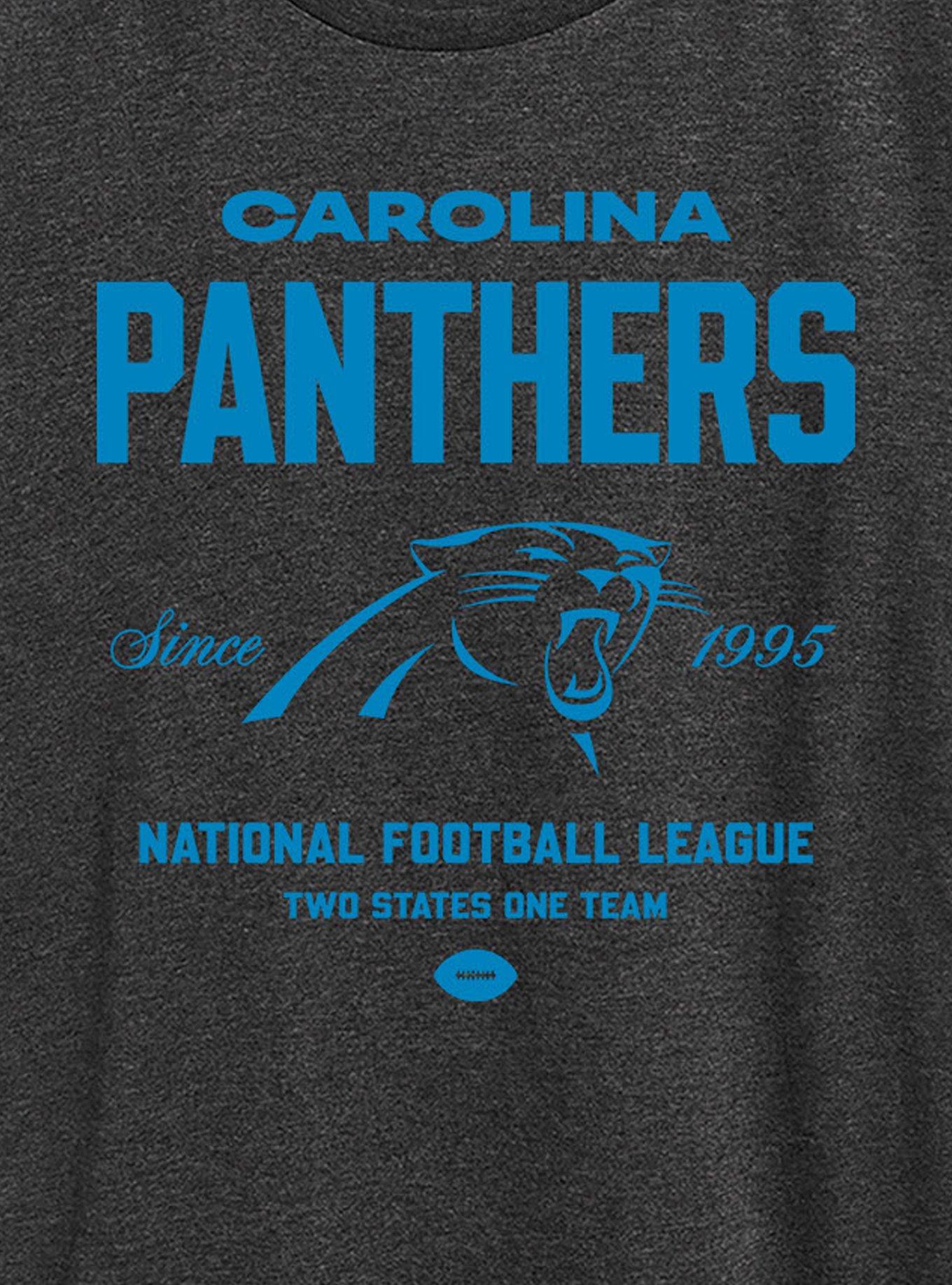 NFL Carolina Panthers Bold League Womens T-Shirt, HEATHER  CHARCOAL, alternate - view 2