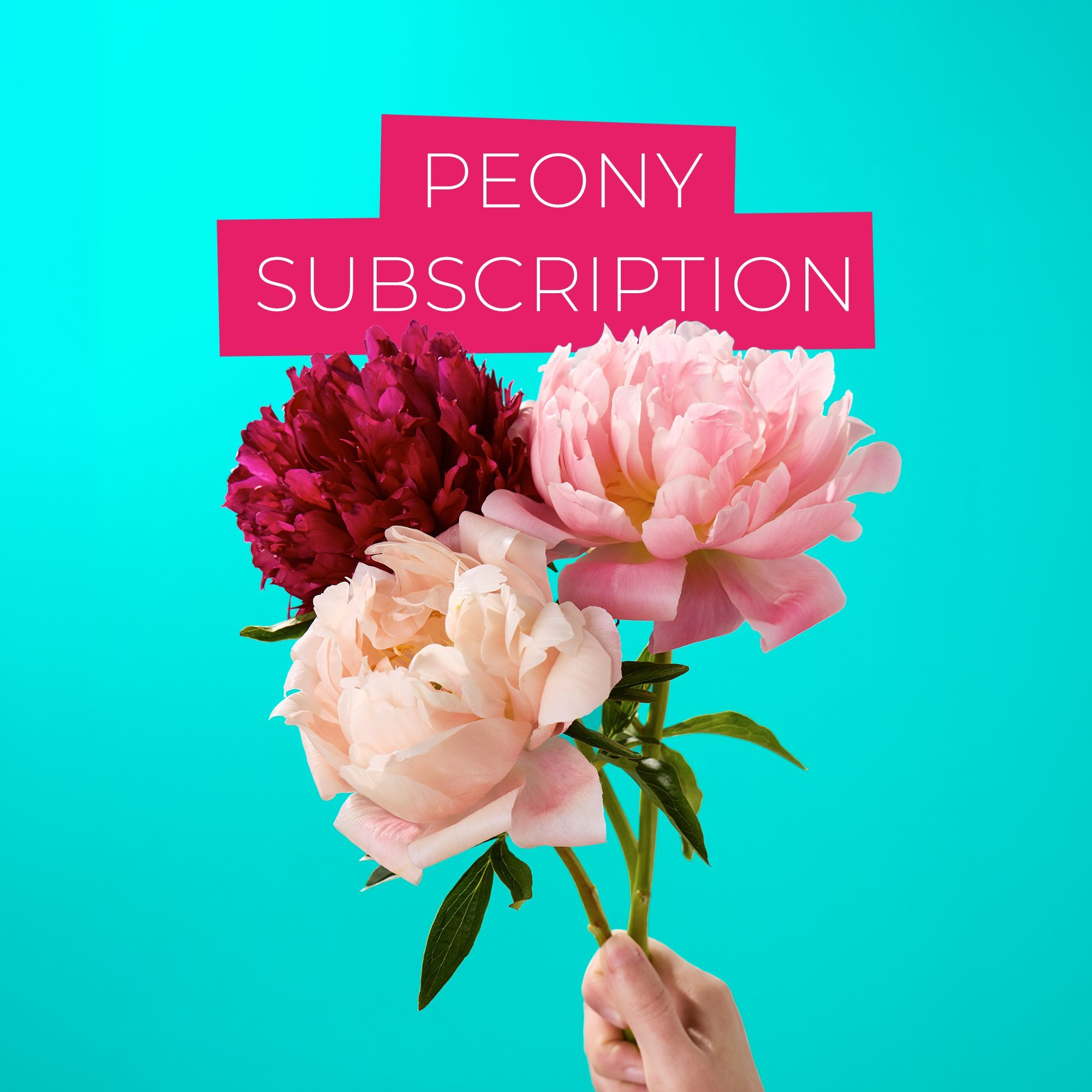 Deluxe Blooms of the Month - Seasonal Flower Delivery | Flying