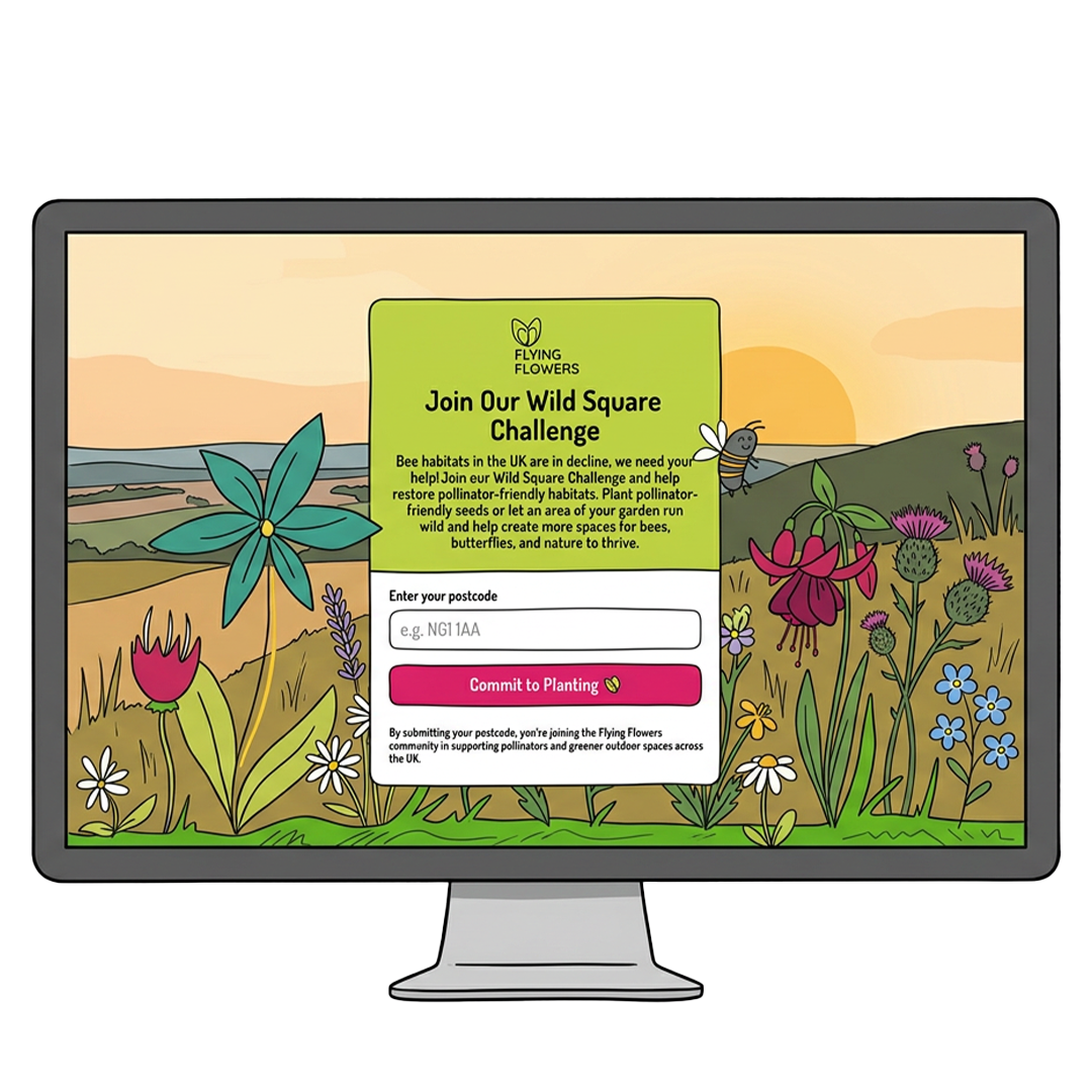 Computer showing Wild Square Challenge