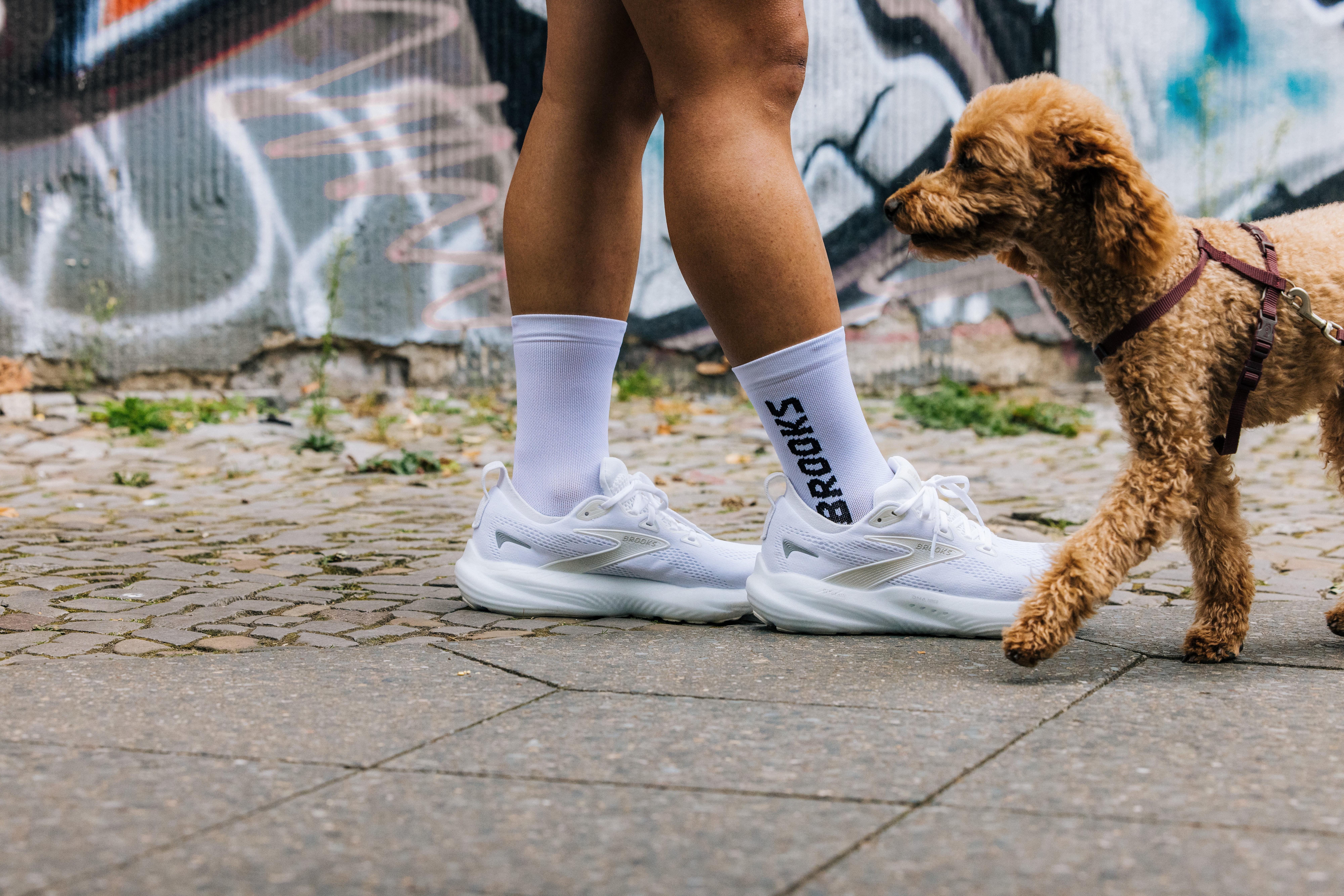 Brooks Running jetzt kaufen bei INTERSPORT