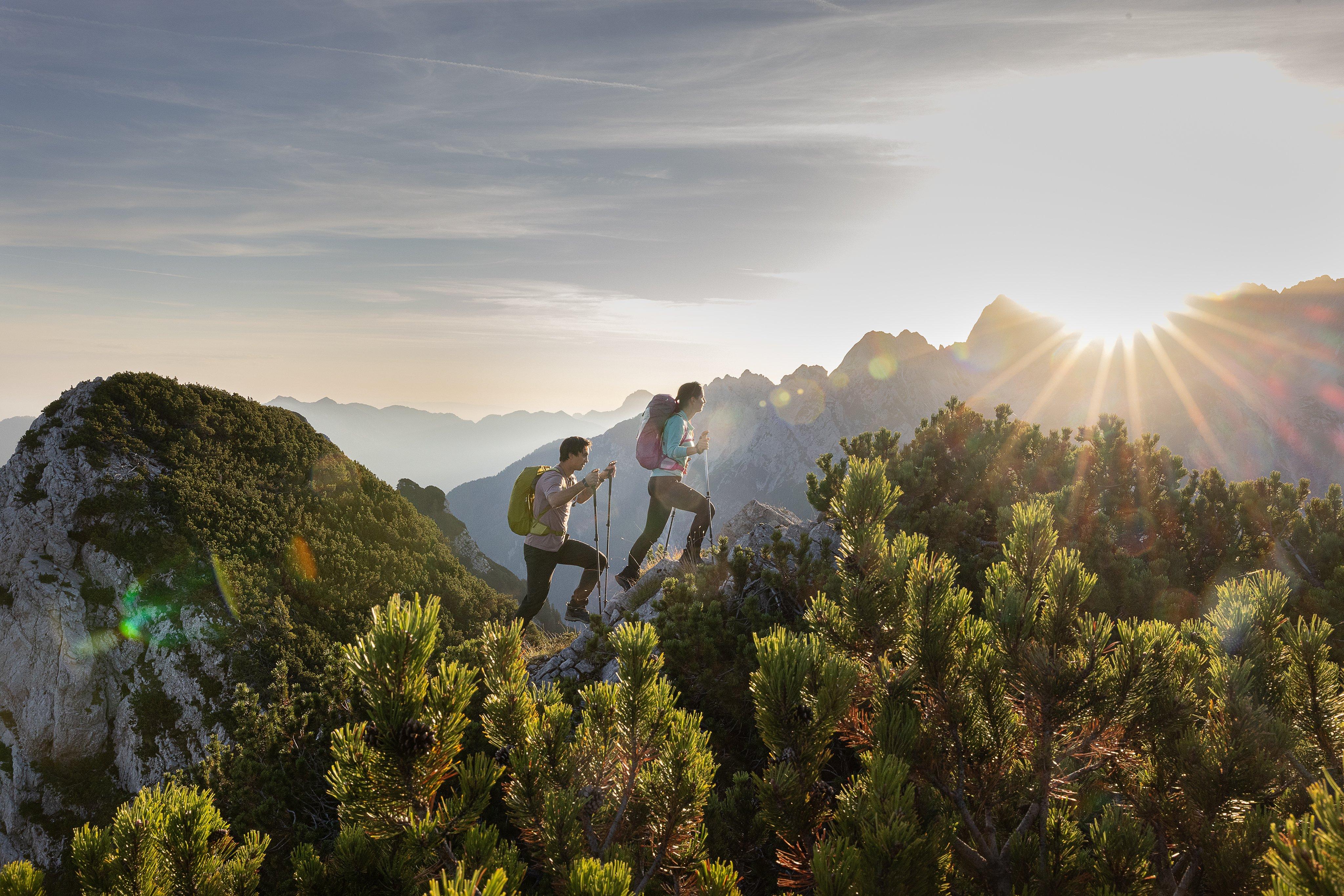 Wanderrucksäcke von Deuter shoppen