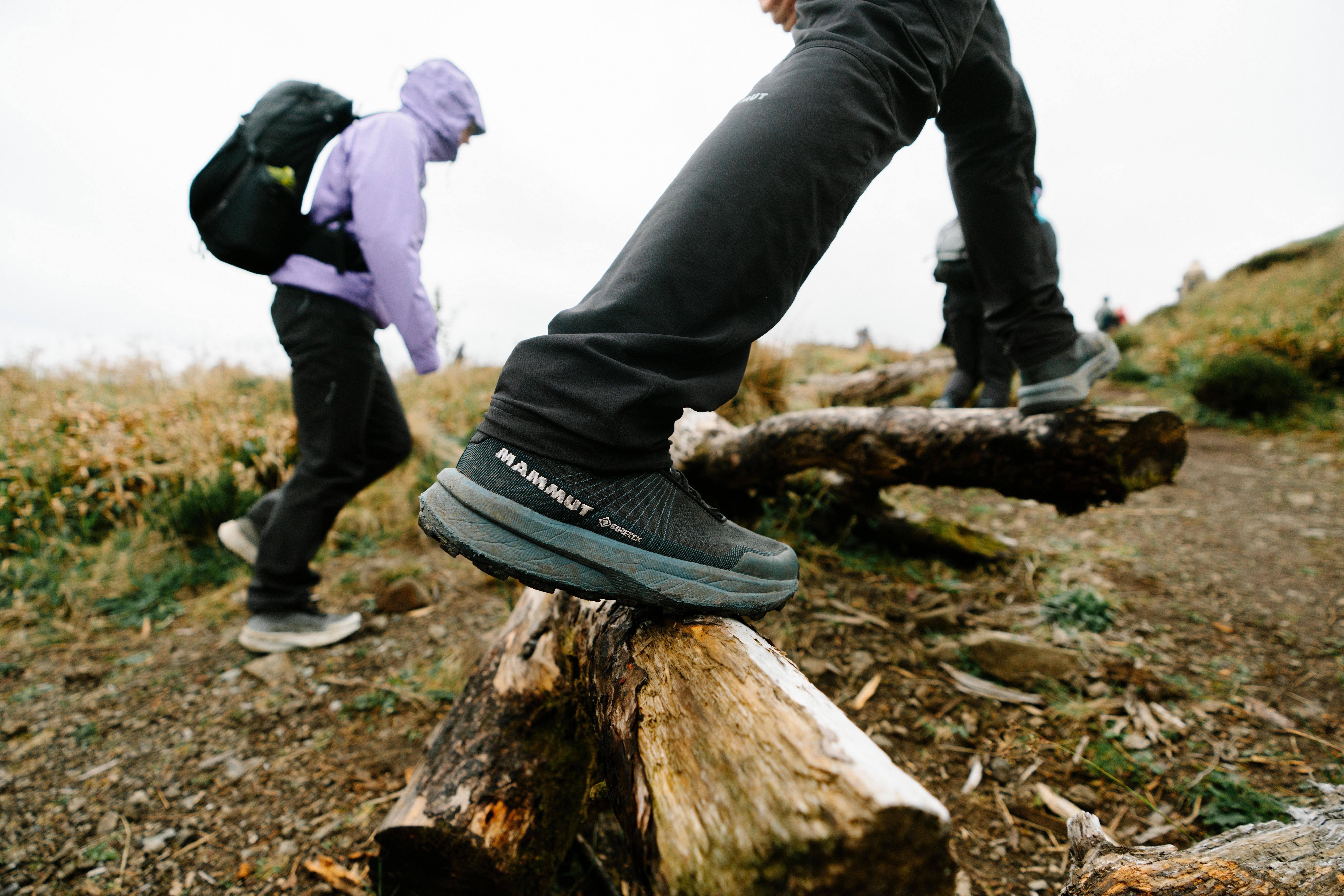 Mammut Outdoorbekleidung für Damen bei INTERSPORT shoppen