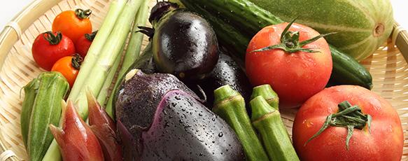 Japanese vegetables