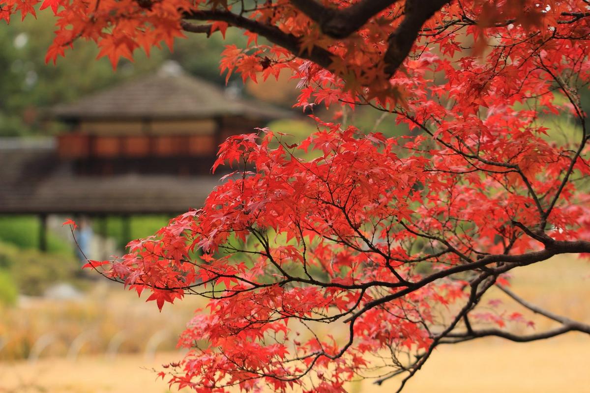 autumn