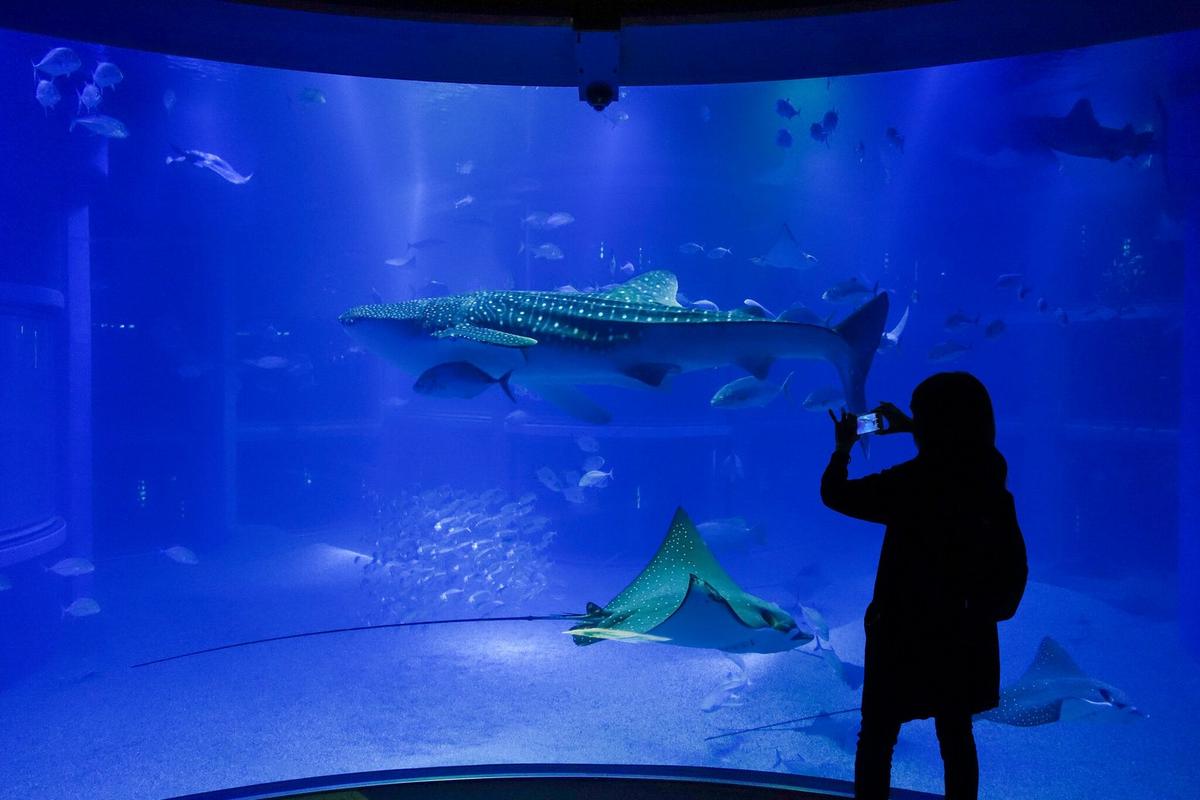 Aquarium