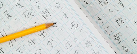 Kana/kanji writing practice book recommendation please? - Japanese